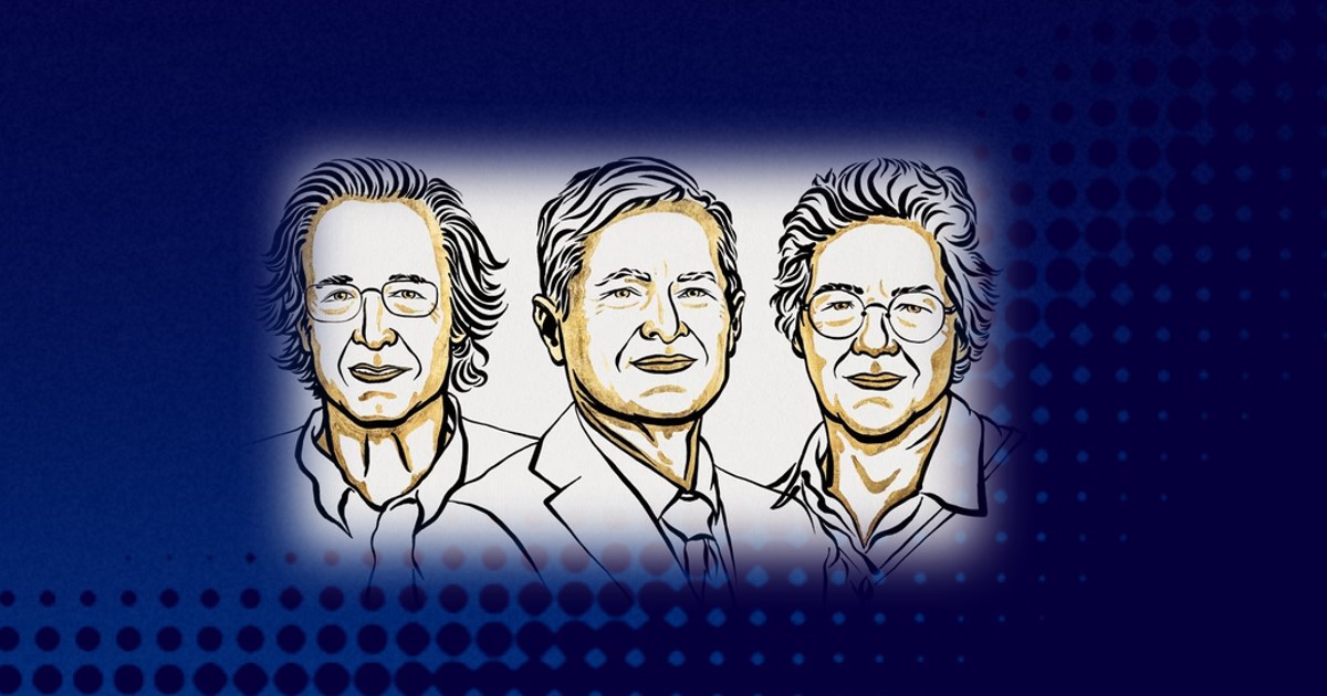 Two Authors in Applied Sciences Awarded the Physics Nobel Prize