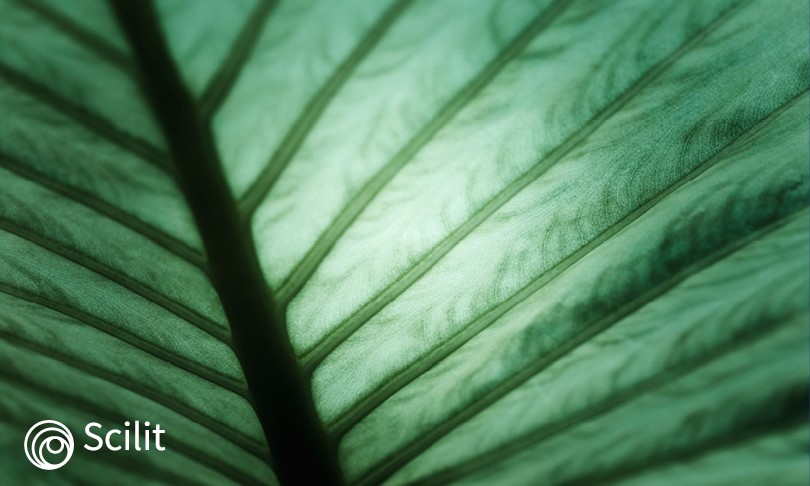 Scilit Spring 2024: News Highlights and Feature Enhancements