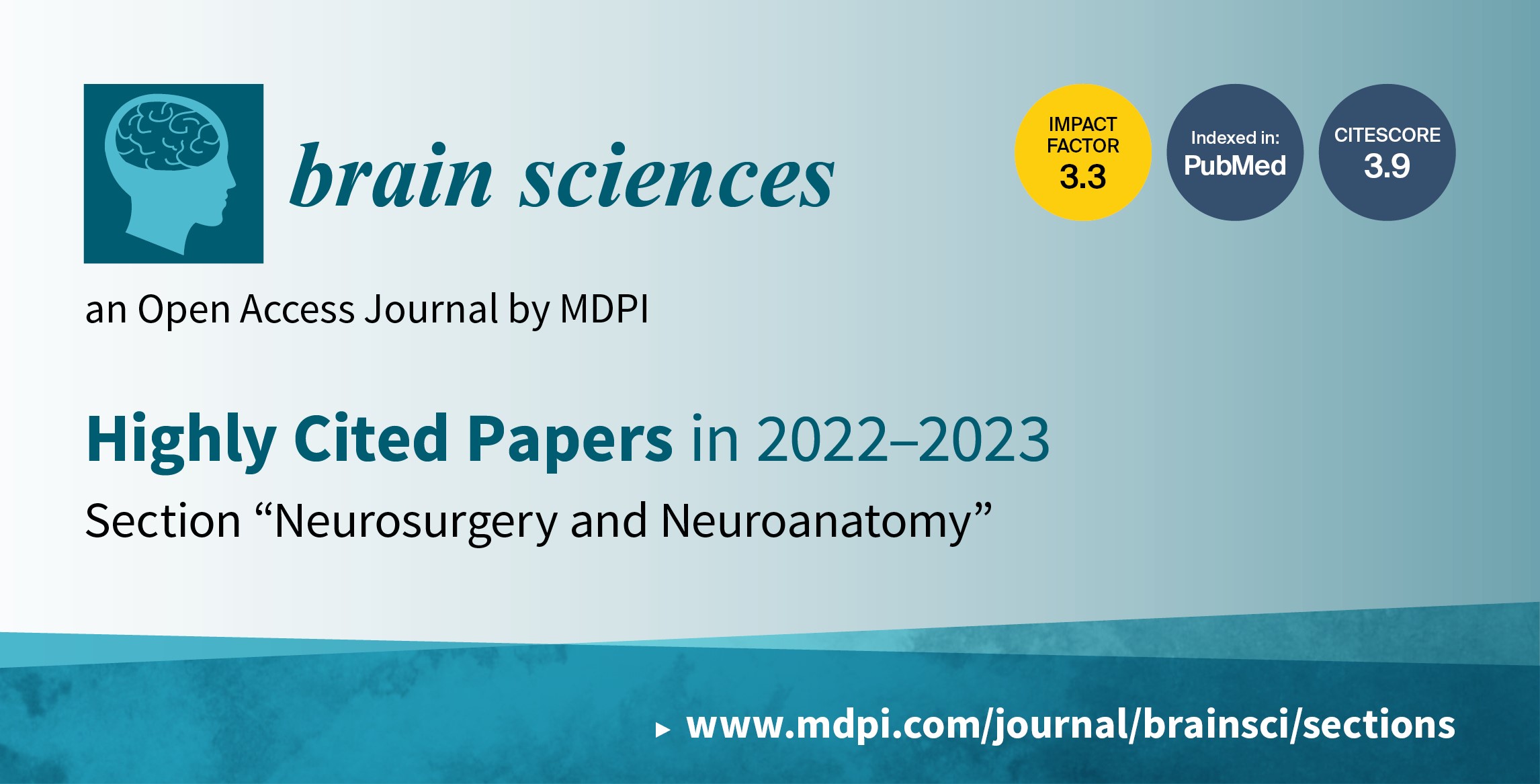 Brain Sciences | Highly Cited Papers in 2022–2023 in the Section “Neurosurgery and Neuroanatomy”