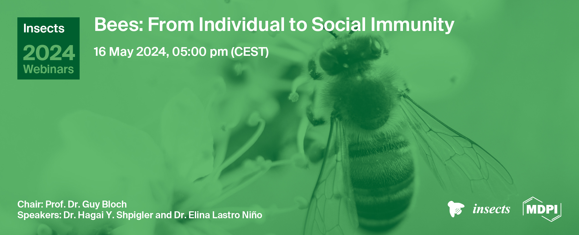 <strong><em>Insects</em></strong><strong> Webinar | Bees: From Individual to Social Immunity, 16 May 2024</strong>