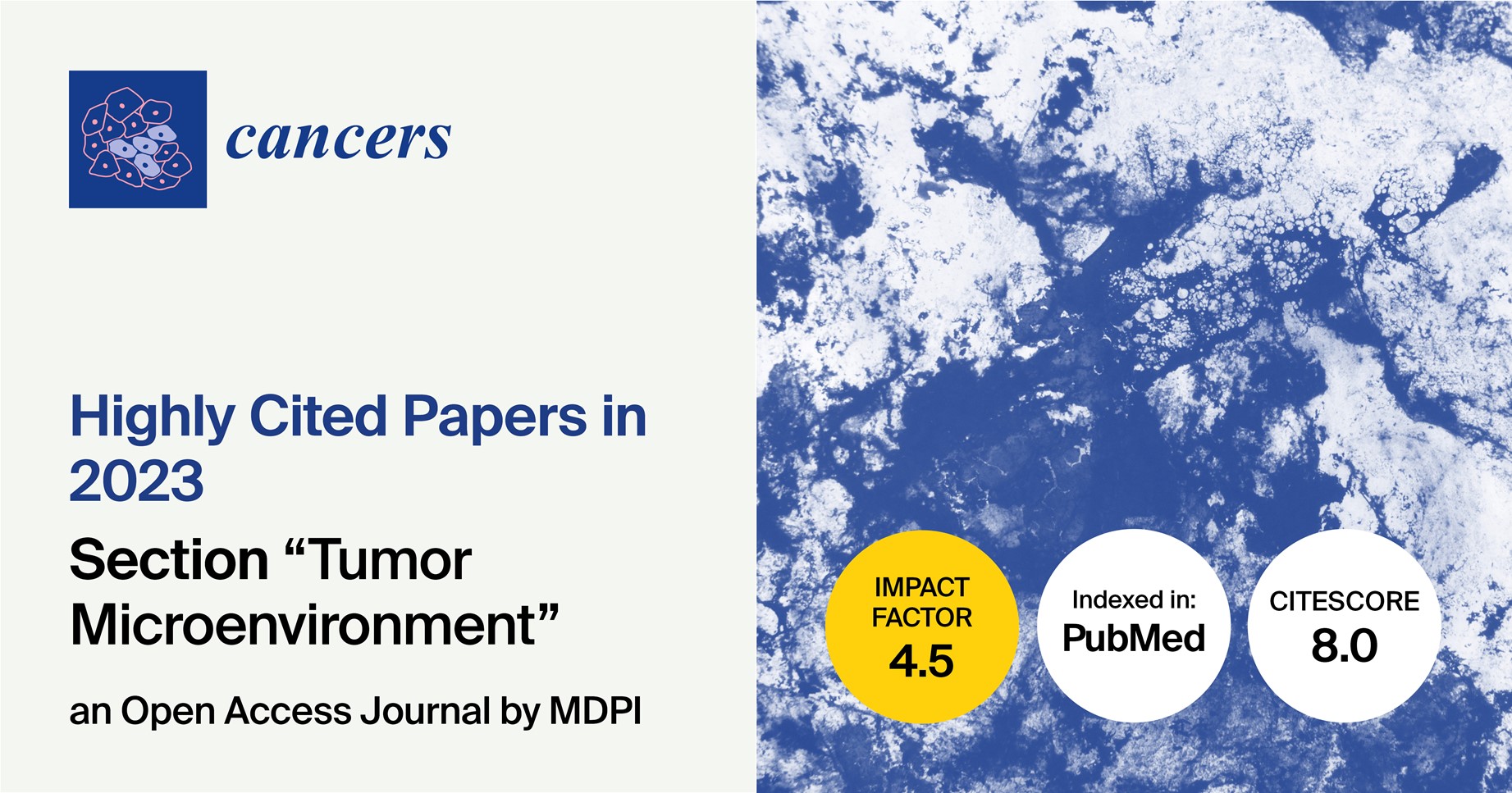 Cancers | Highly Cited Papers in 2023 in the Section “Tumor Microenvironment”