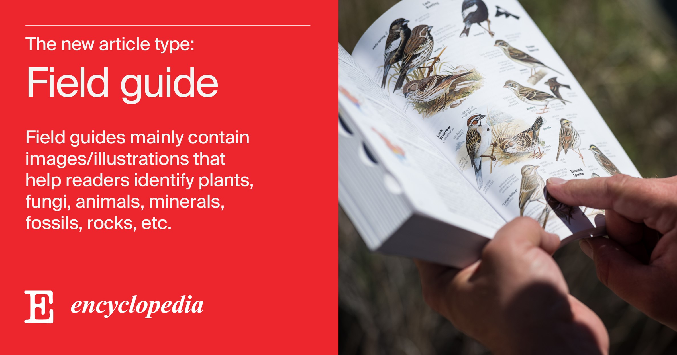 Encyclopedia Set to Publish A New Article Type: Field Guide