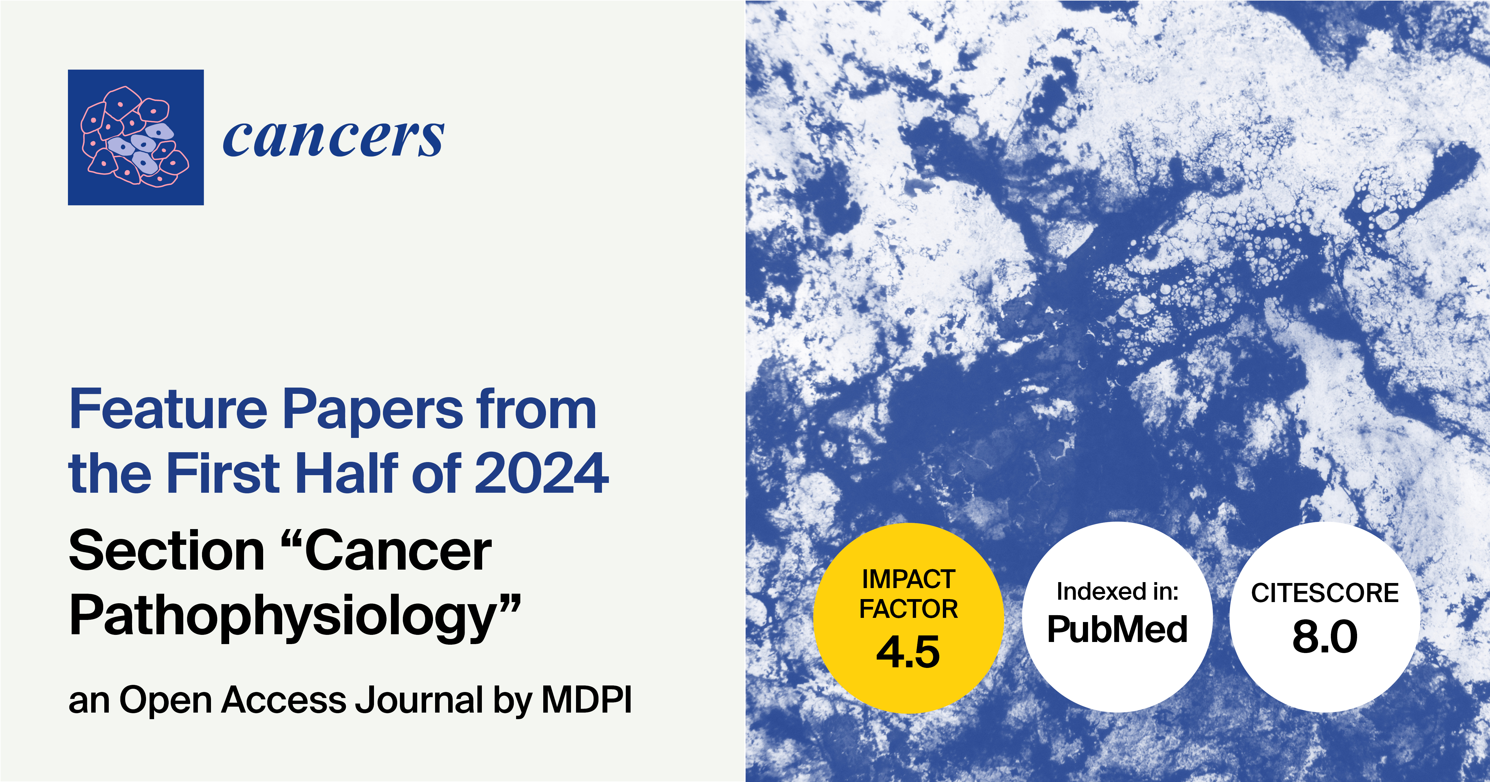 Cancers | Feature Papers from the First Half of 2024 in the Section “Cancer Pathophysiology”