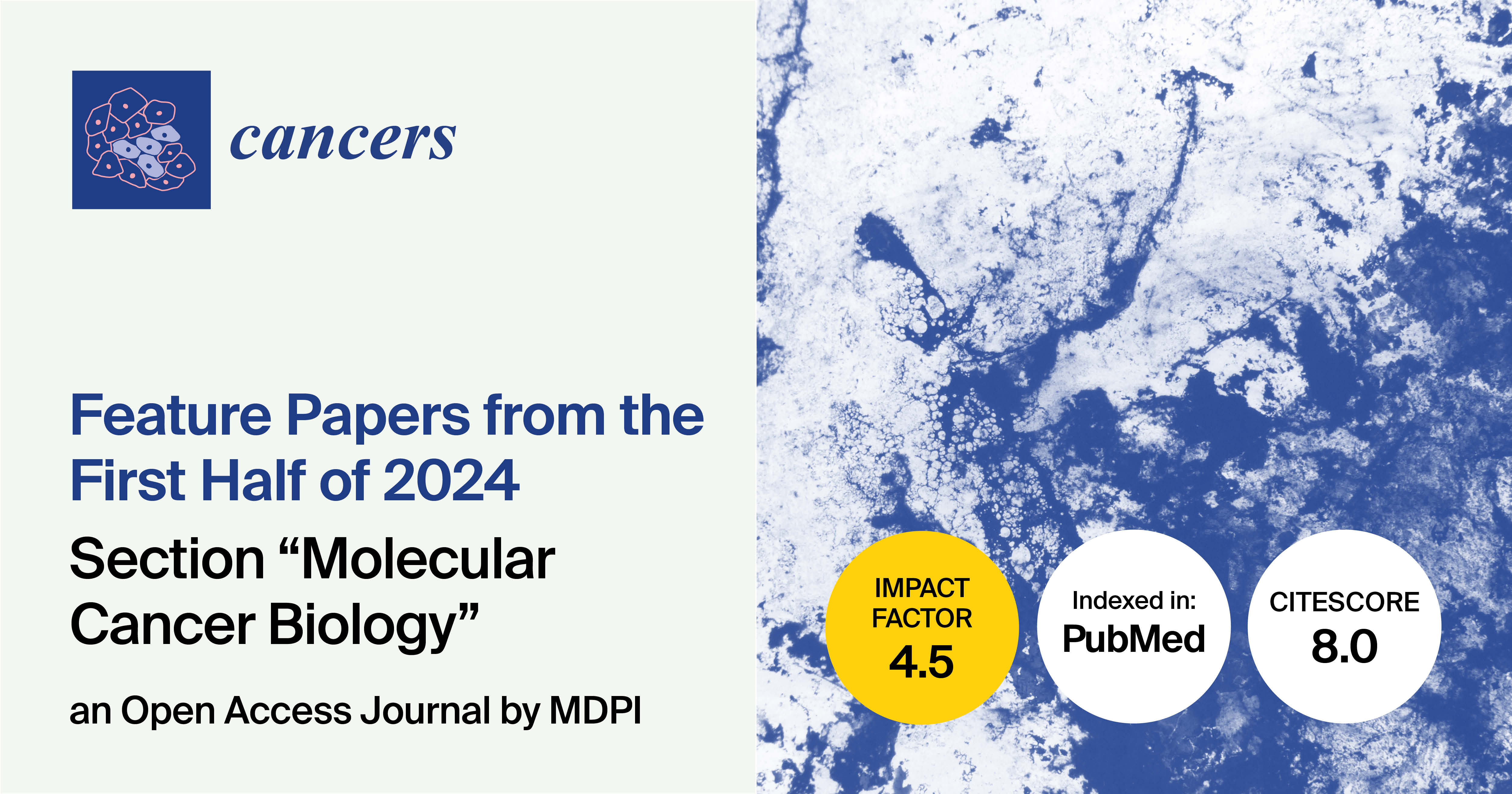 Cancers | Feature Papers from the First Half of 2024 in the Section “Molecular Cancer Biology”