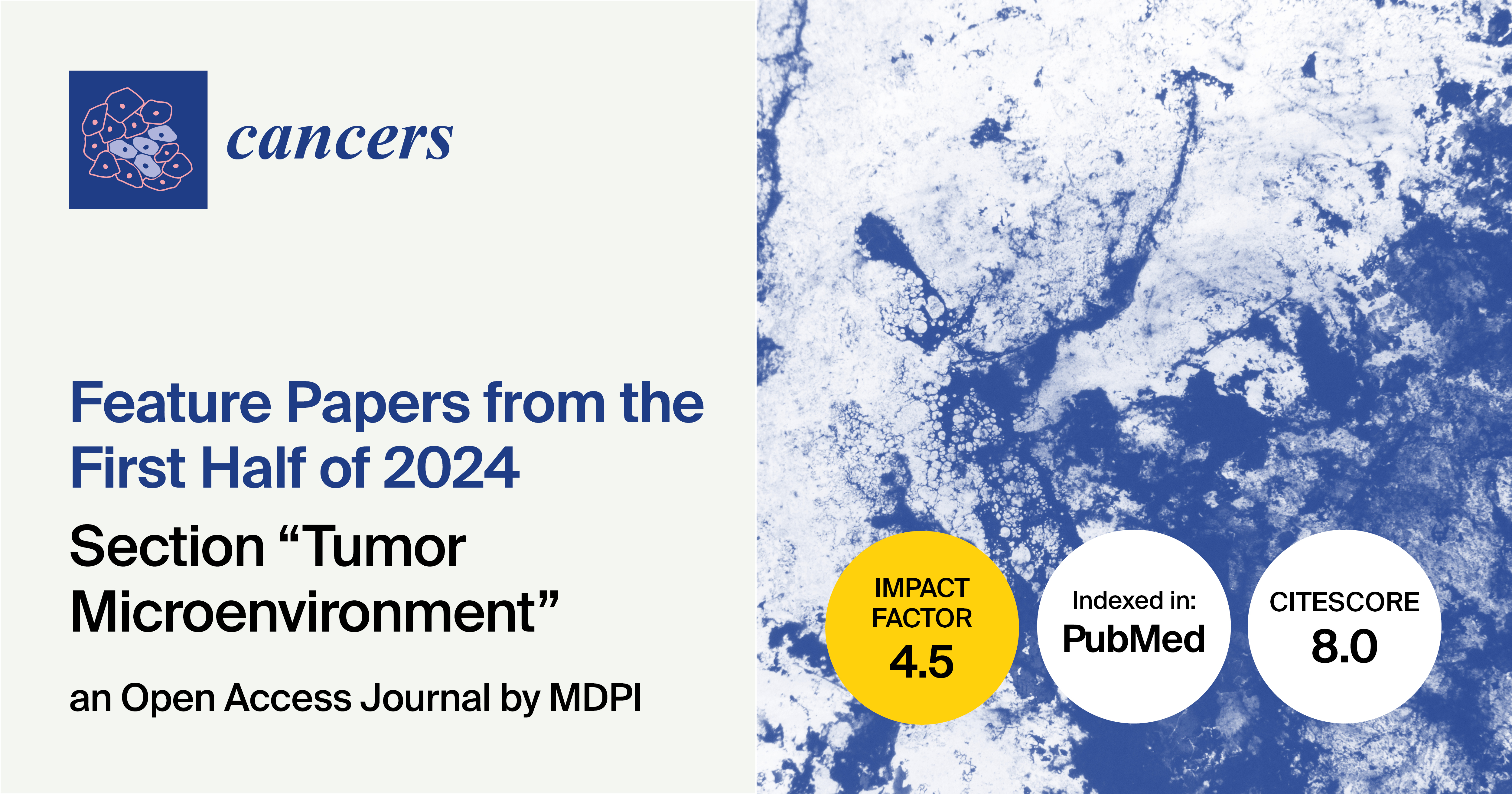 Cancers | Feature Papers from the First Half of 2024 in the Section “Tumor Microenvironment”