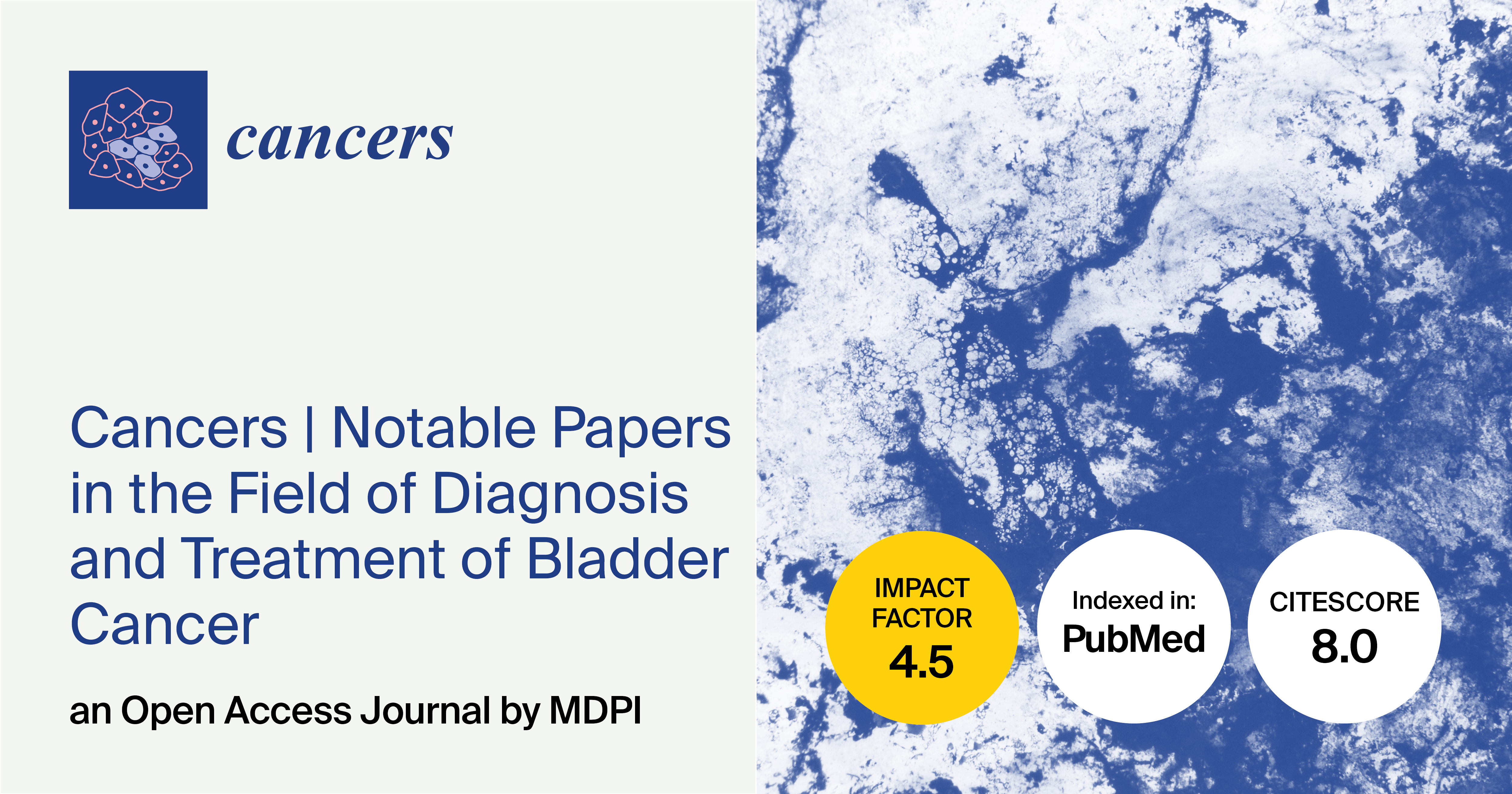 Cancers | Notable Papers in the Field of Diagnosis and Treatment of Bladder Cancer