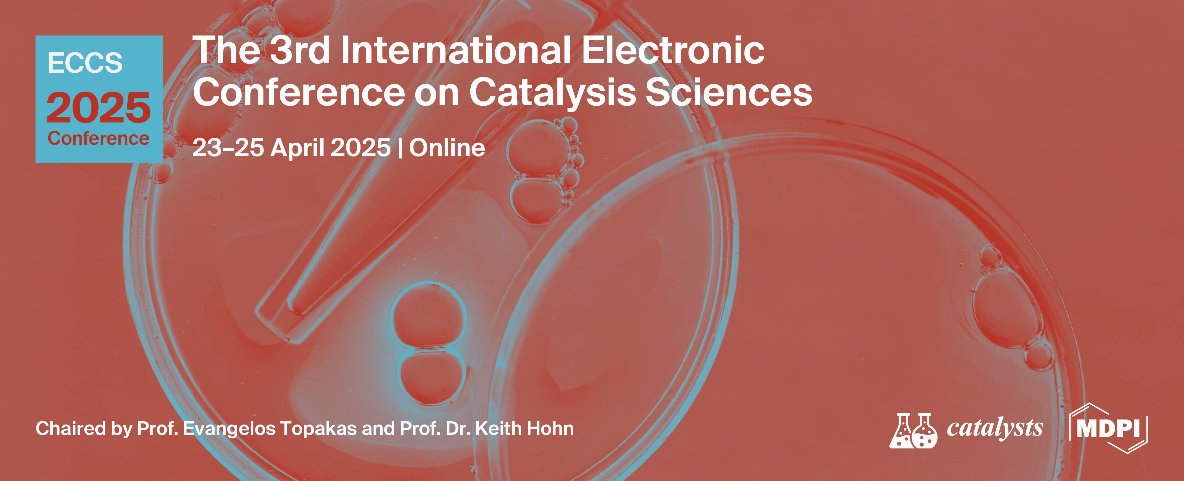 Catalysts | Interview with Prof. Dr. Frank Hollmann, the Session Chair of the 3rd International Electronic Conference on Catalysis Sciences, 23–25 April 2025