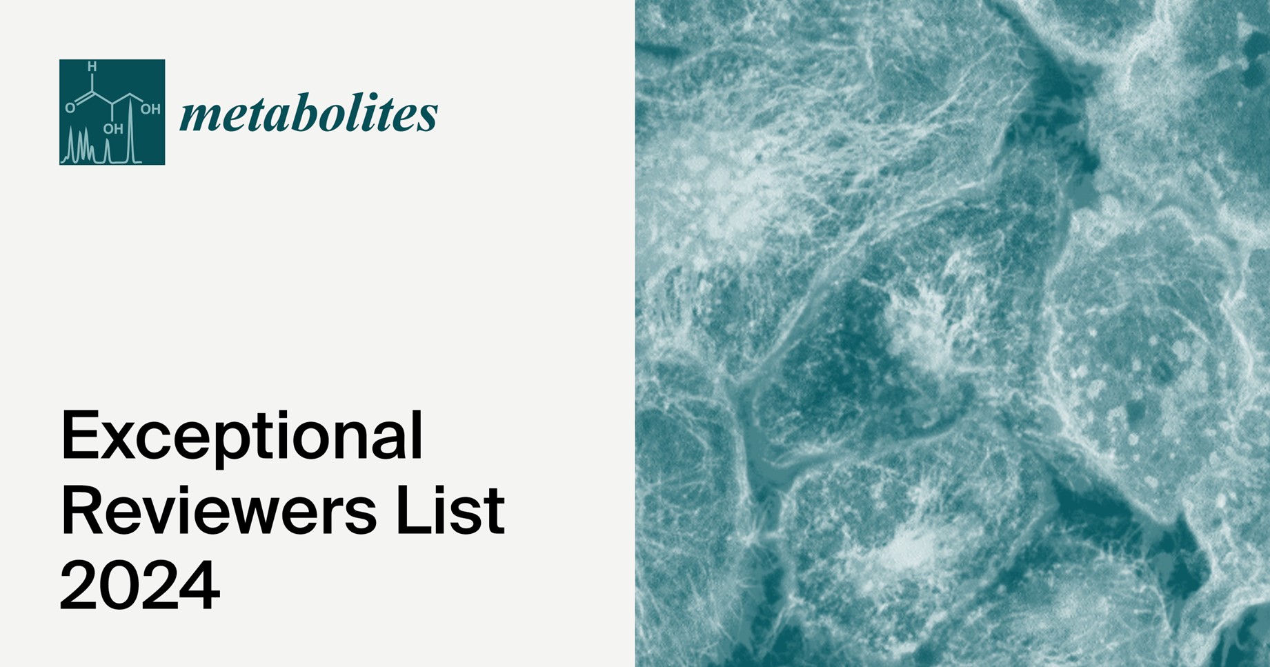 Metabolites Exceptional Reviewers List 2024