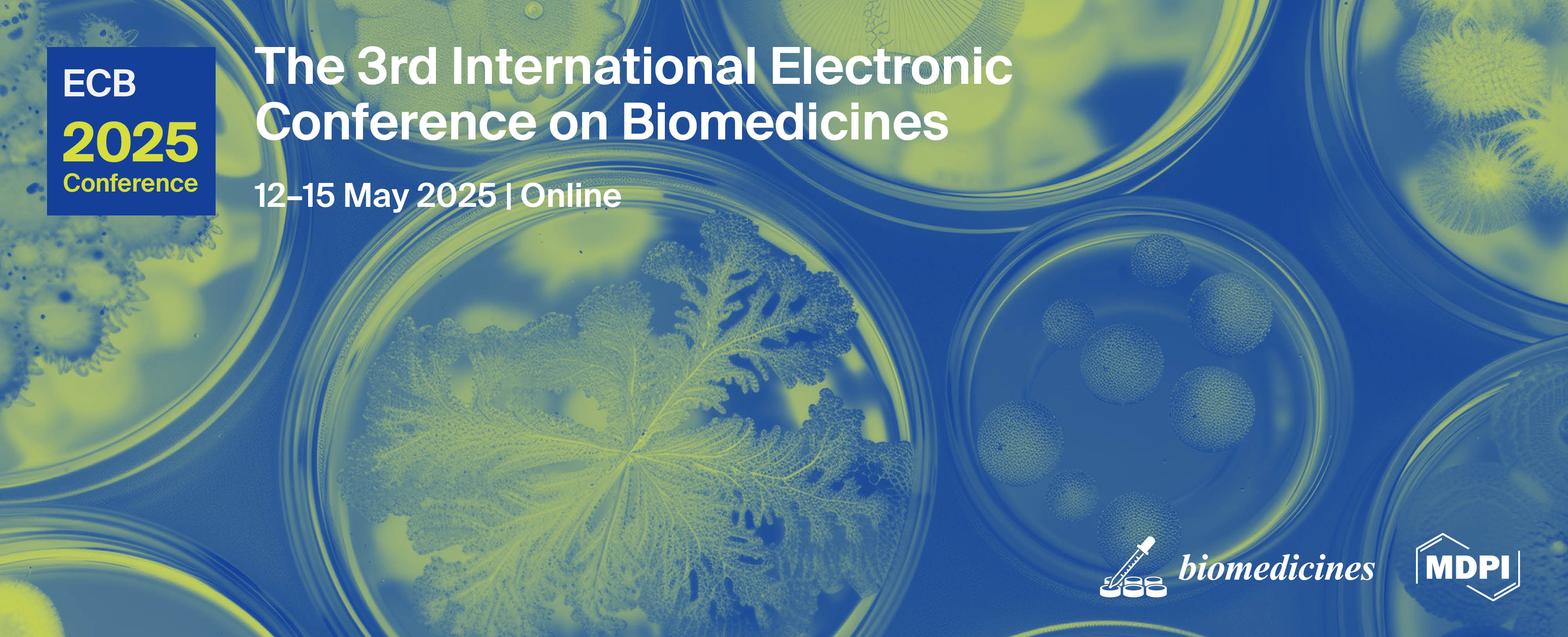 Meet Us Online at the 3rd International Electronic Conference on Biomedicines, 12–15 May 2025