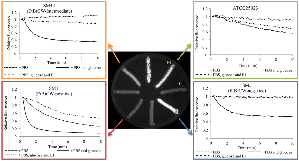 Antibiotics 02 00083 g001 1024