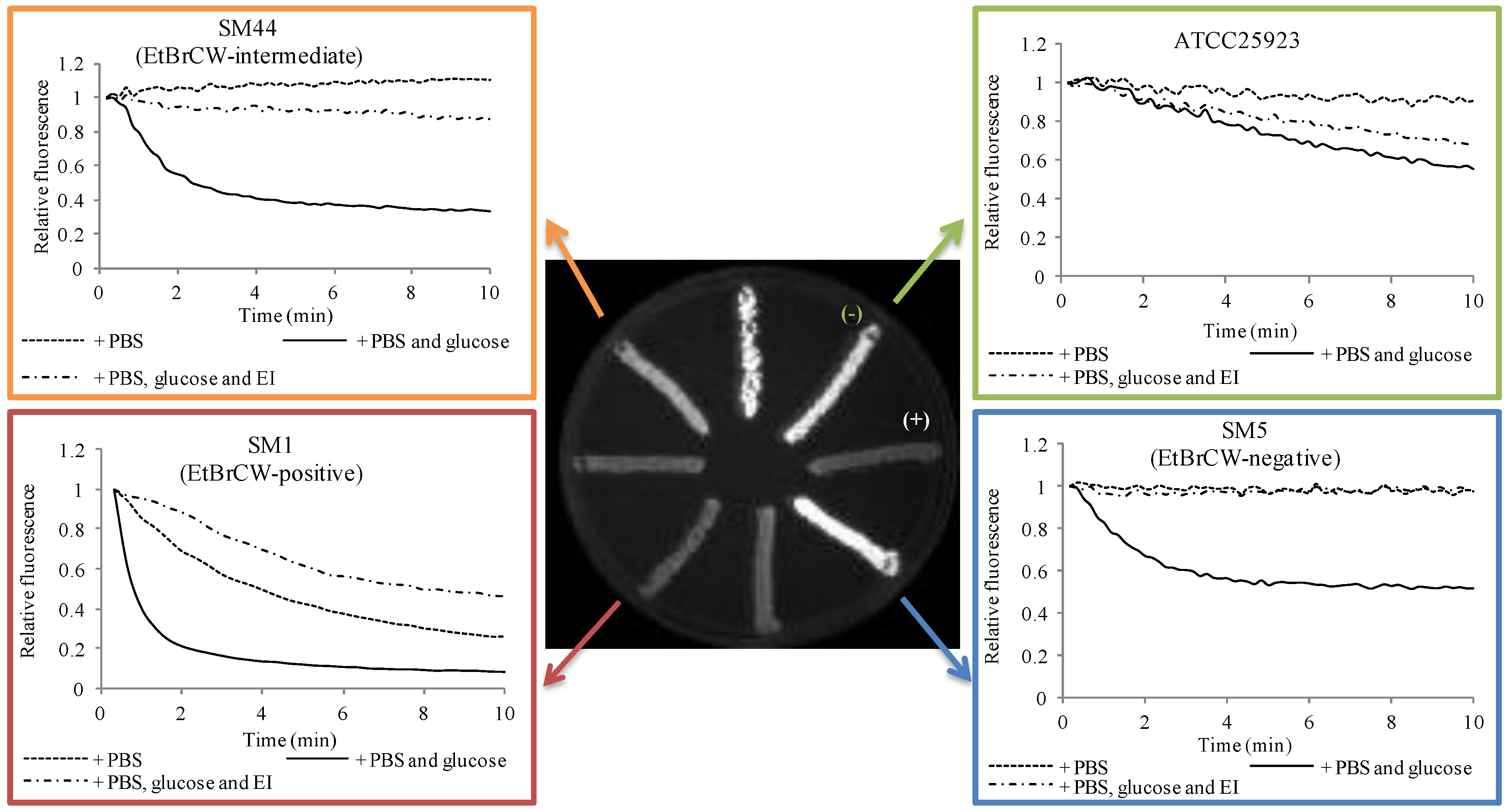 Antibiotics 02 00083 g001