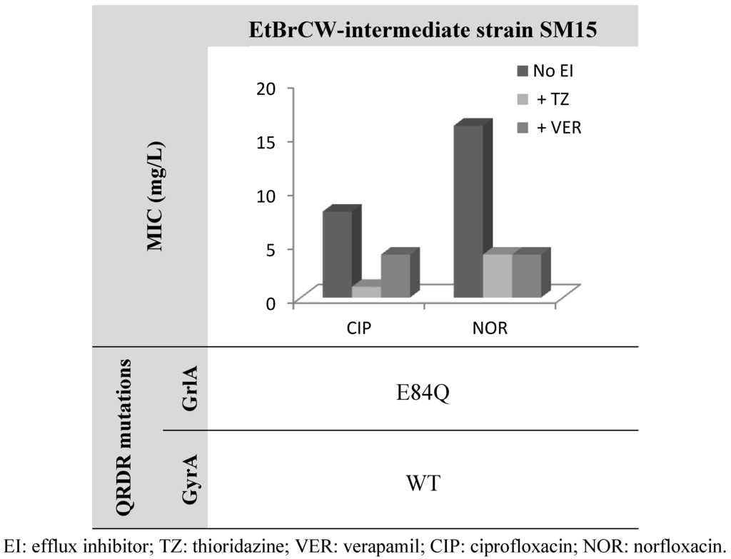 Antibiotics 02 00083 g003 1024