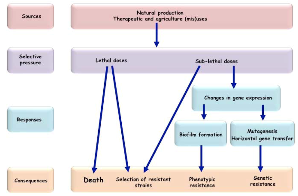 Antibiotics 02 00100 g001 1024