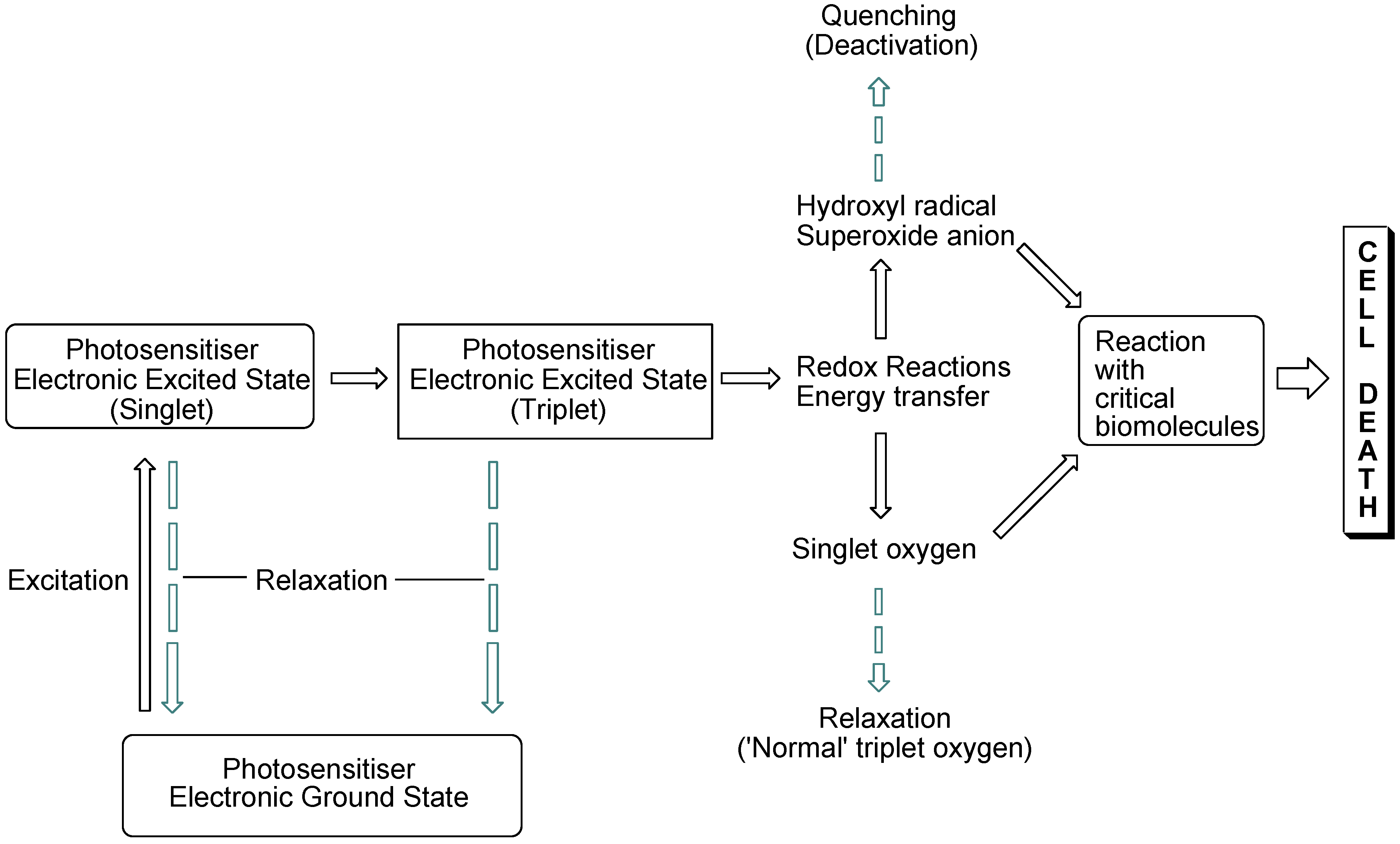 Antibiotics 02 00182 g001