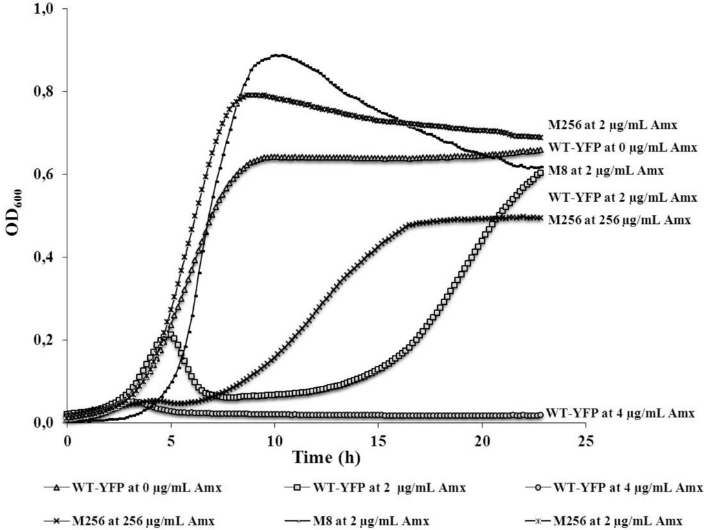 Antibiotics 03 00049 g001 1024