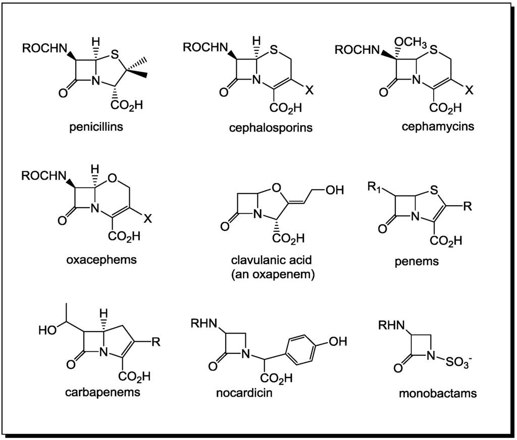 Antibiotics 03 00128 g001 1024