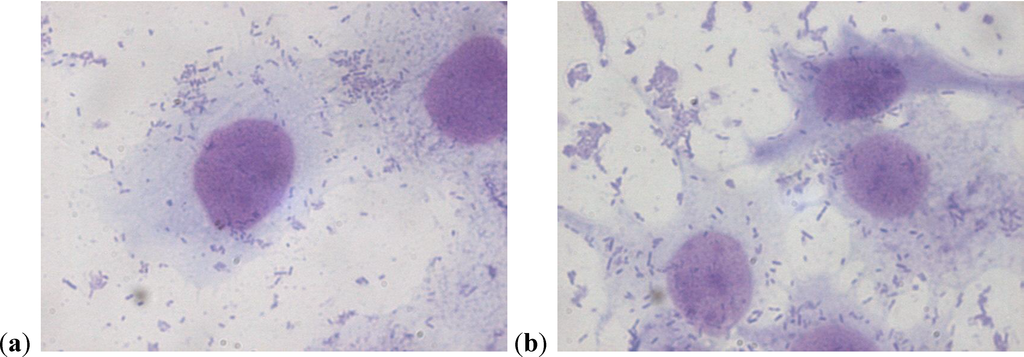 Antibiotics 03 00143 g003 1024