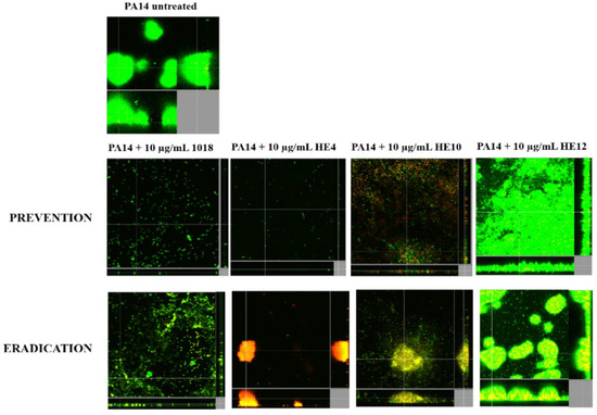 Antibiotics 03 00509 g002 550