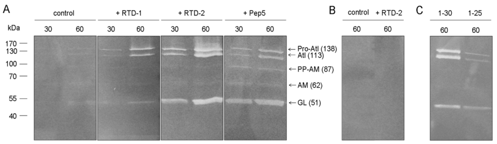 Antibiotics 03 00617 g005 1024