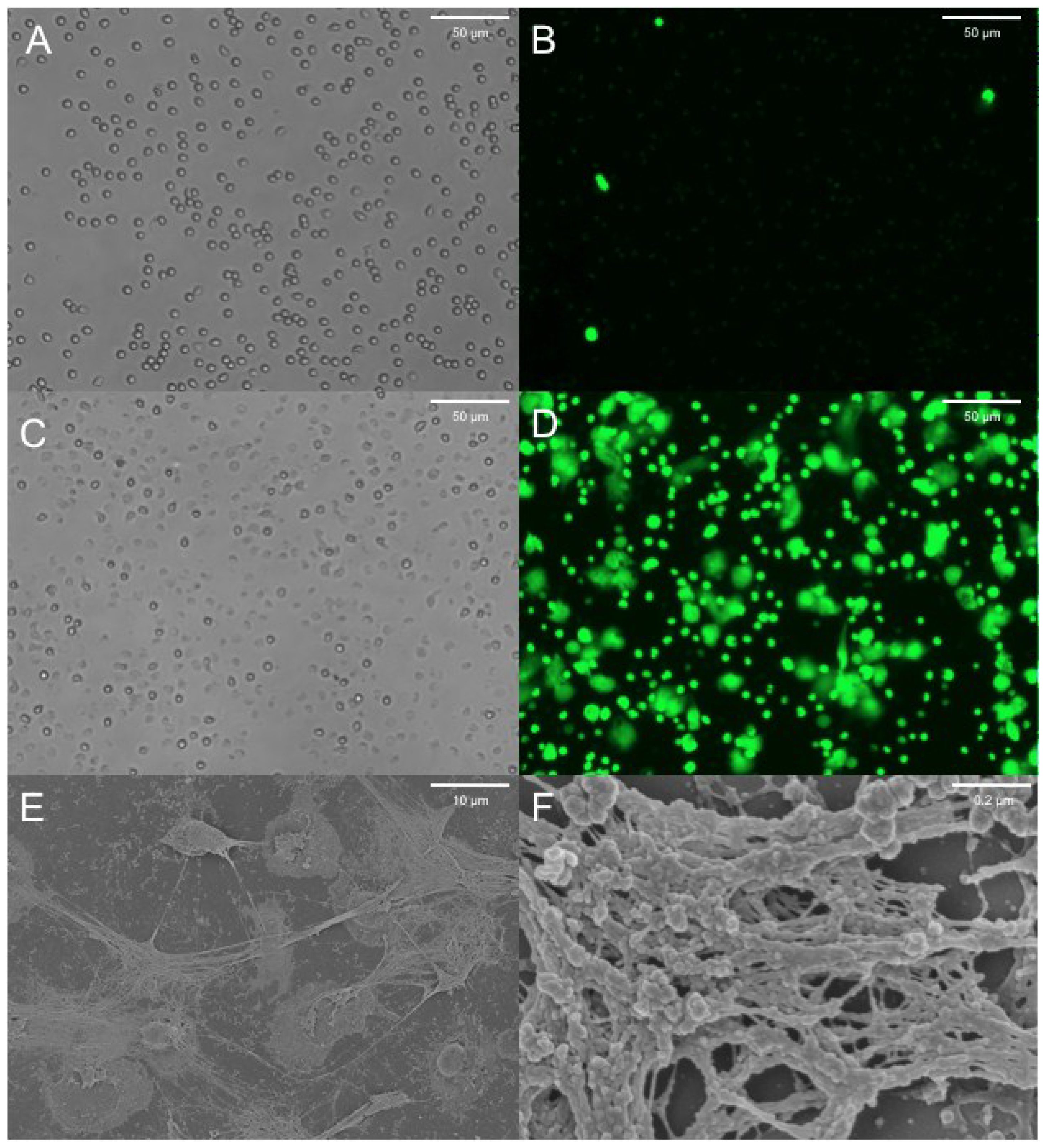 Antibiotics 04 00062 g002