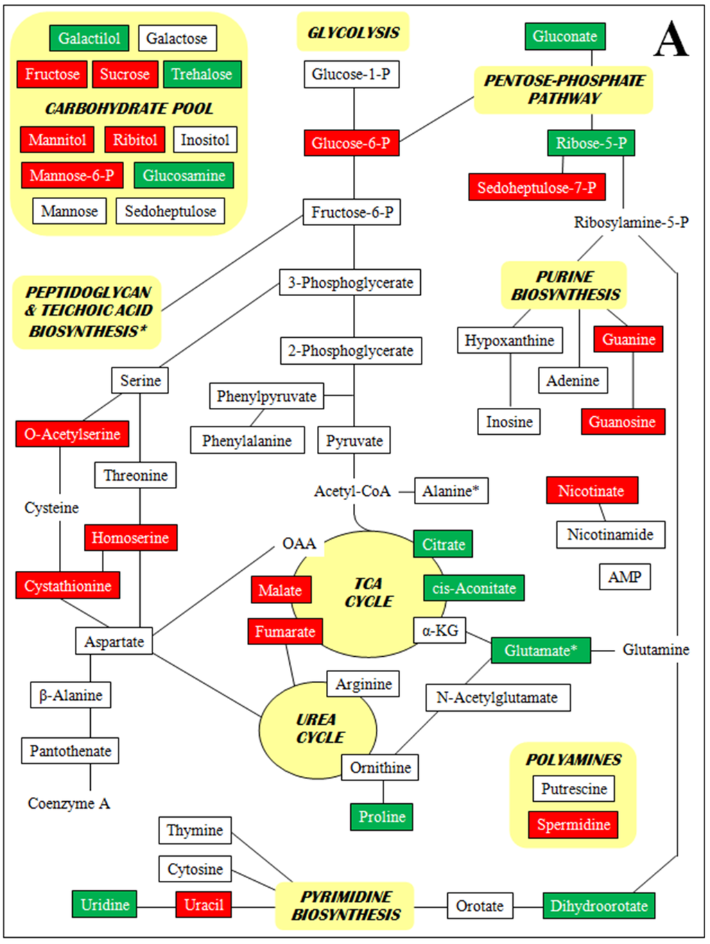 Antibiotics 04 00076 g002a 1024