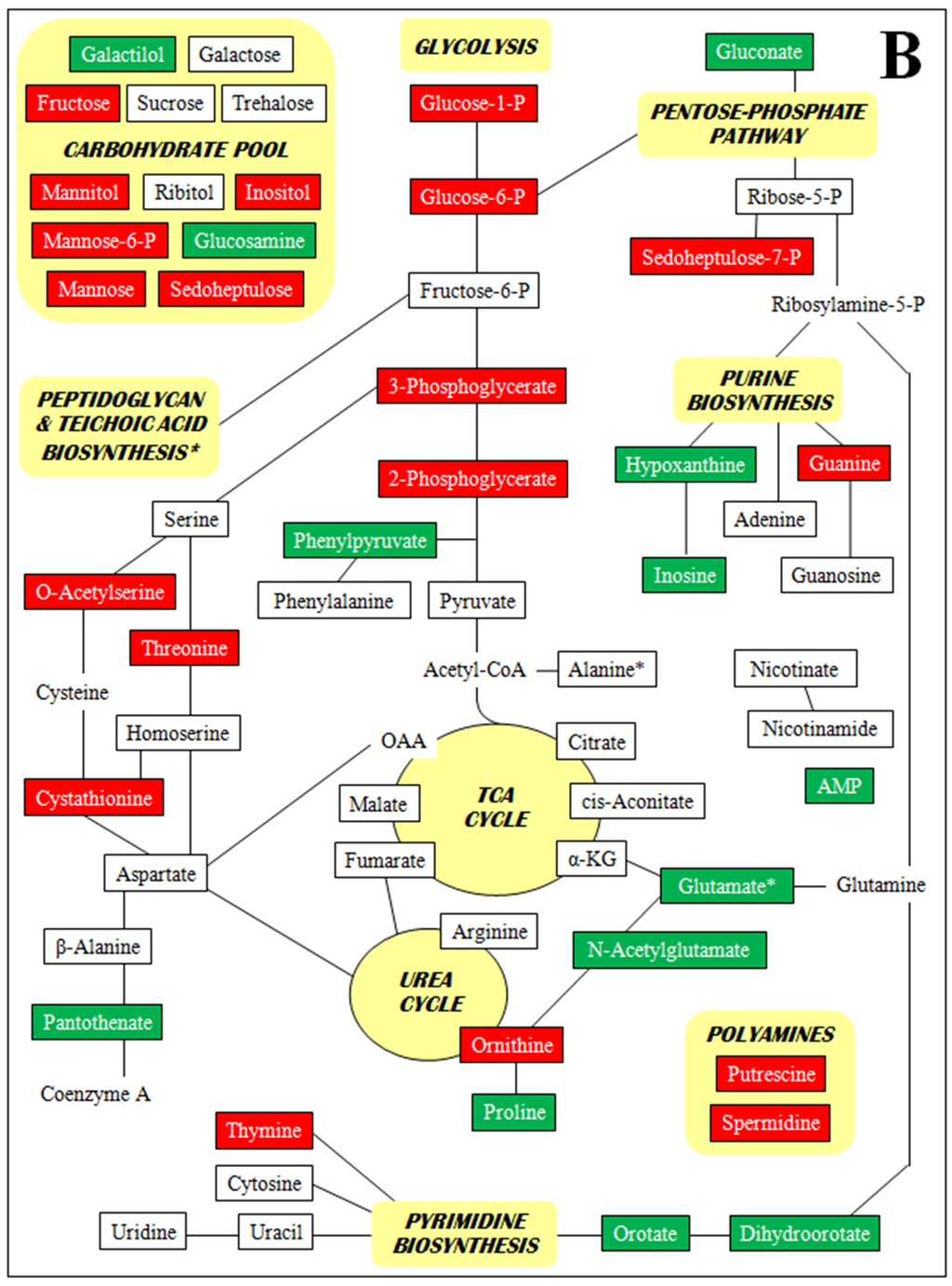 Antibiotics 04 00076 g002b 1024