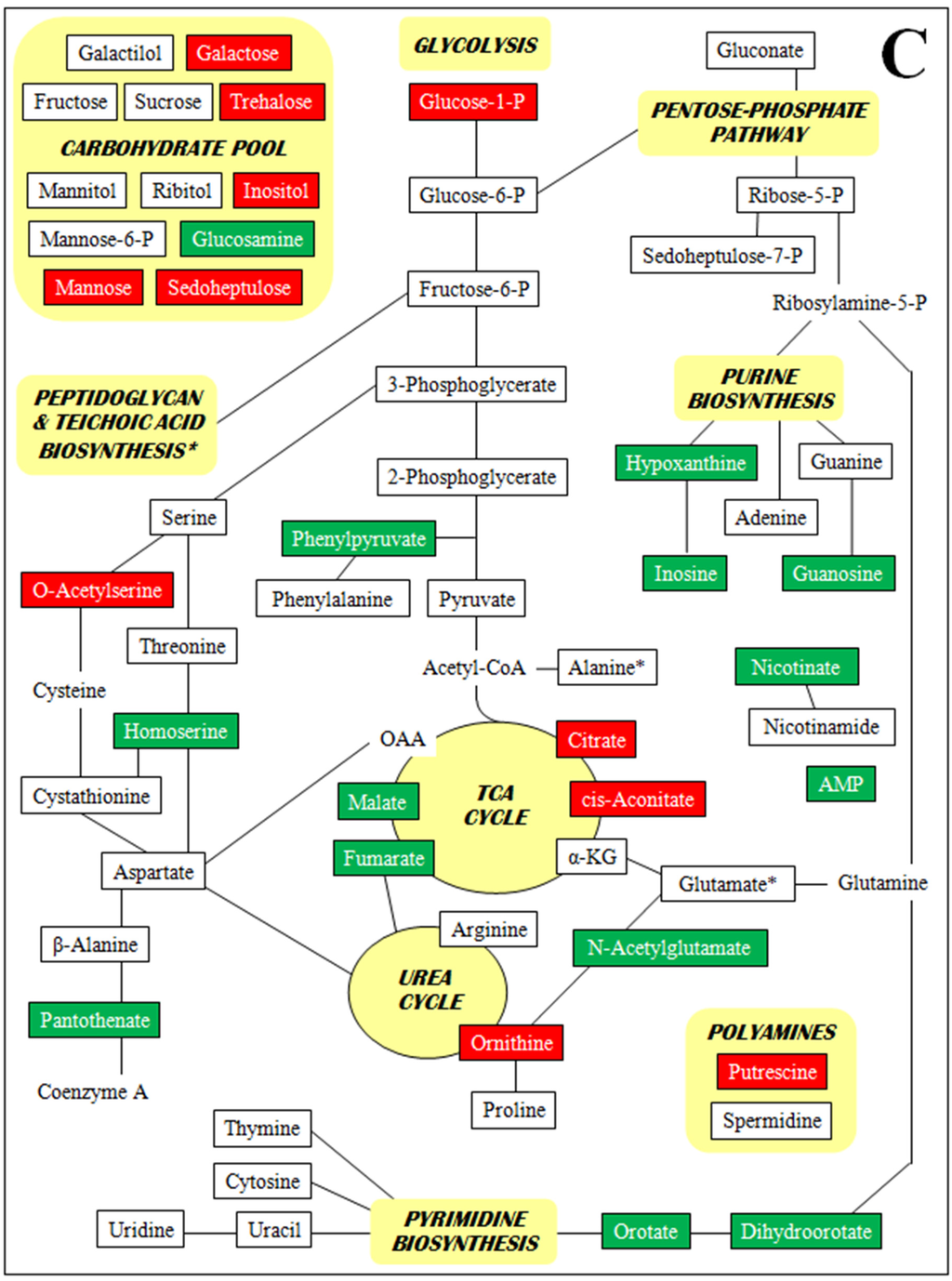 Antibiotics 04 00076 g002c 1024