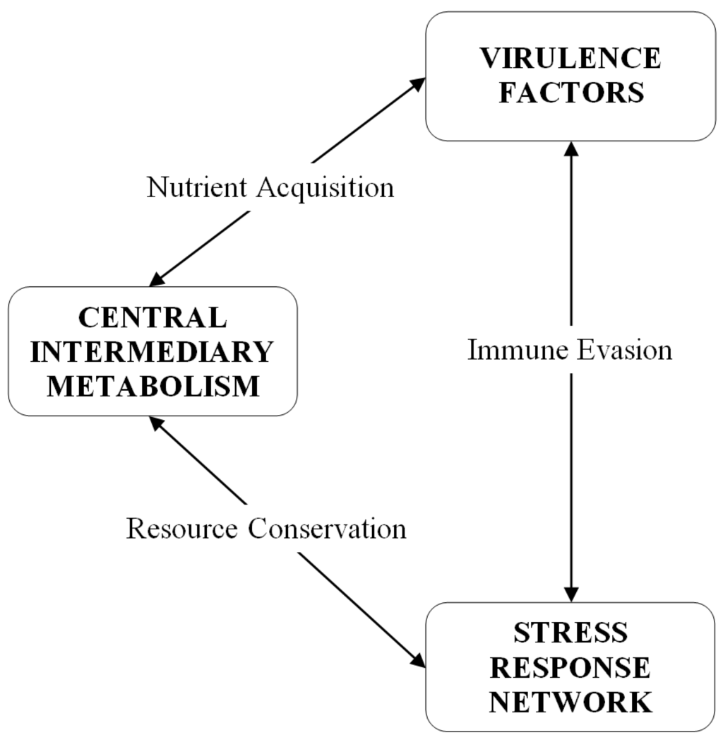 Antibiotics 04 00076 g003 1024