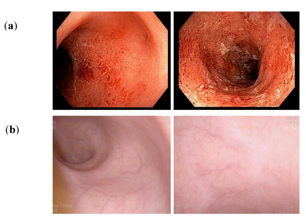 Antibiotics 04 00254 g001 1024