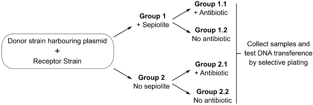 Antibiotics 04 00299 g002 1024