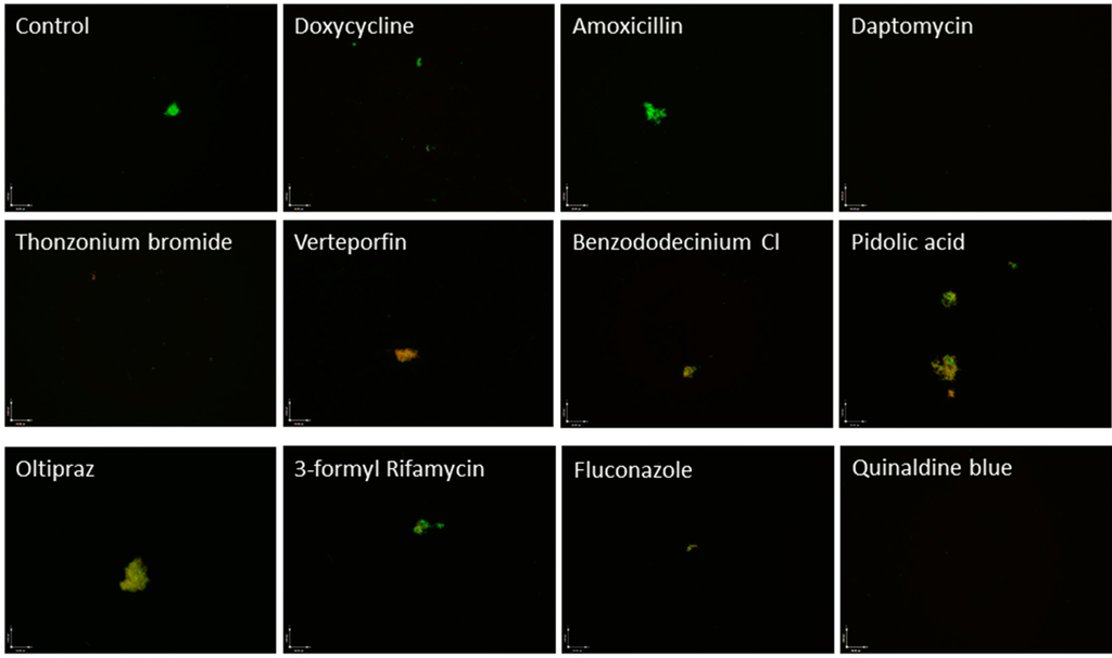 Antibiotics 04 00397 g001 1024