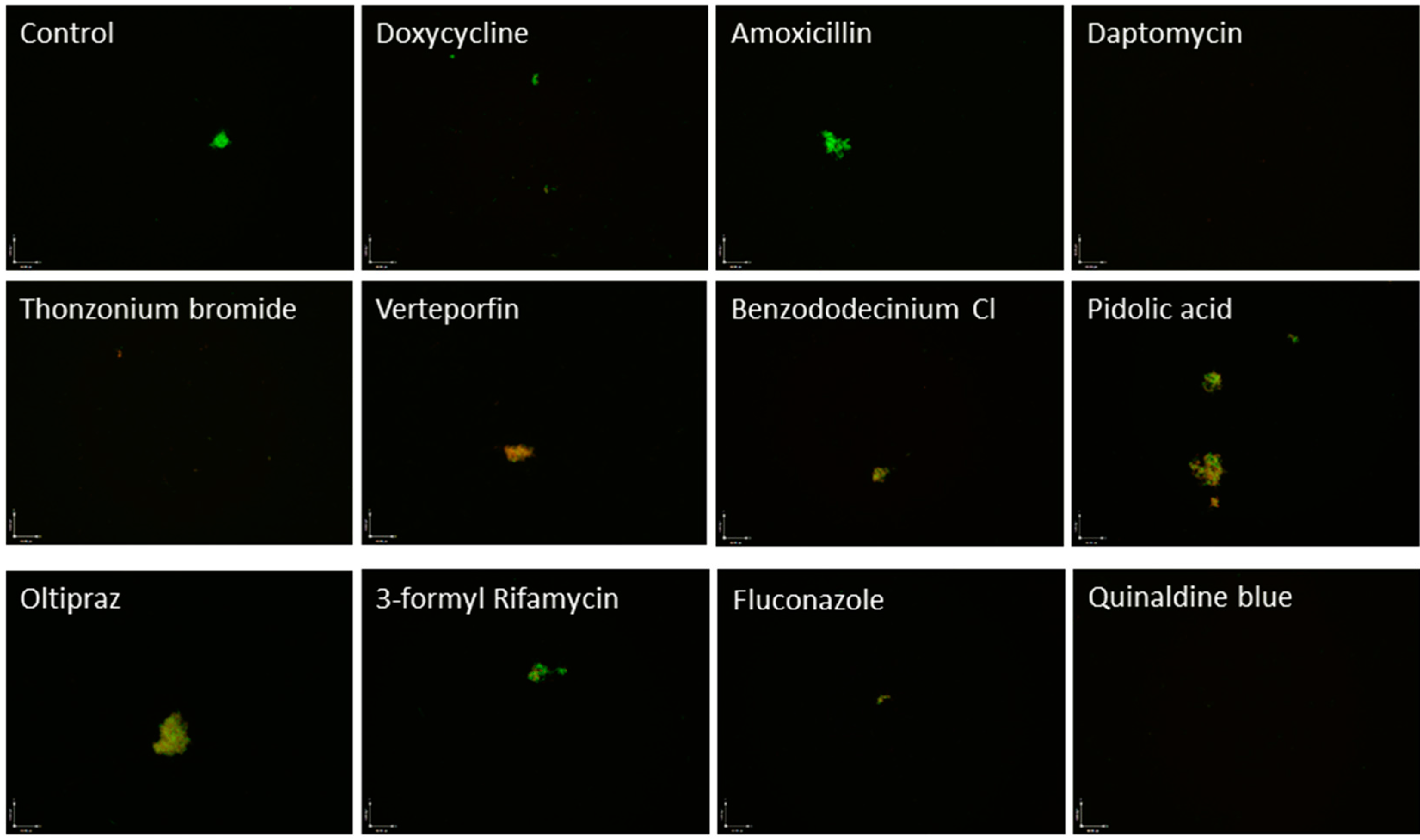 Antibiotics 04 00397 g001