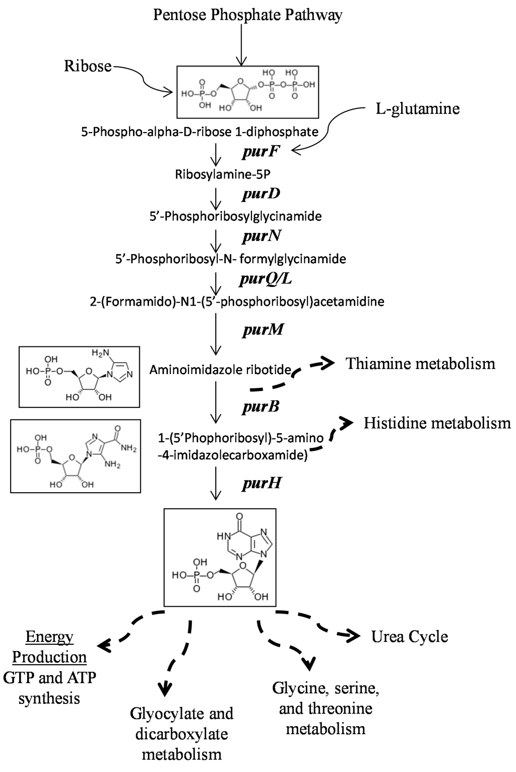Antibiotics 04 00627 g005 1024