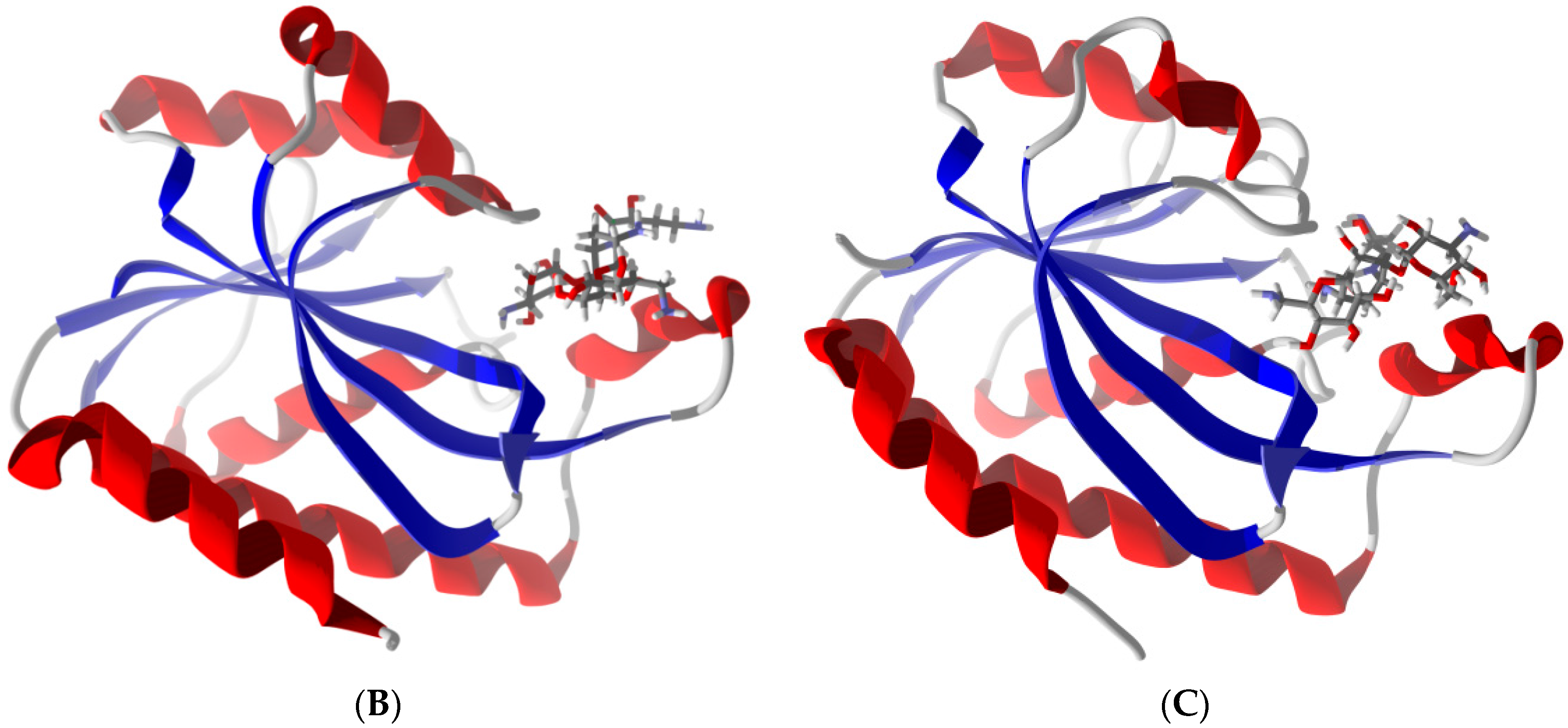 Antibiotics 05 00016 g002b