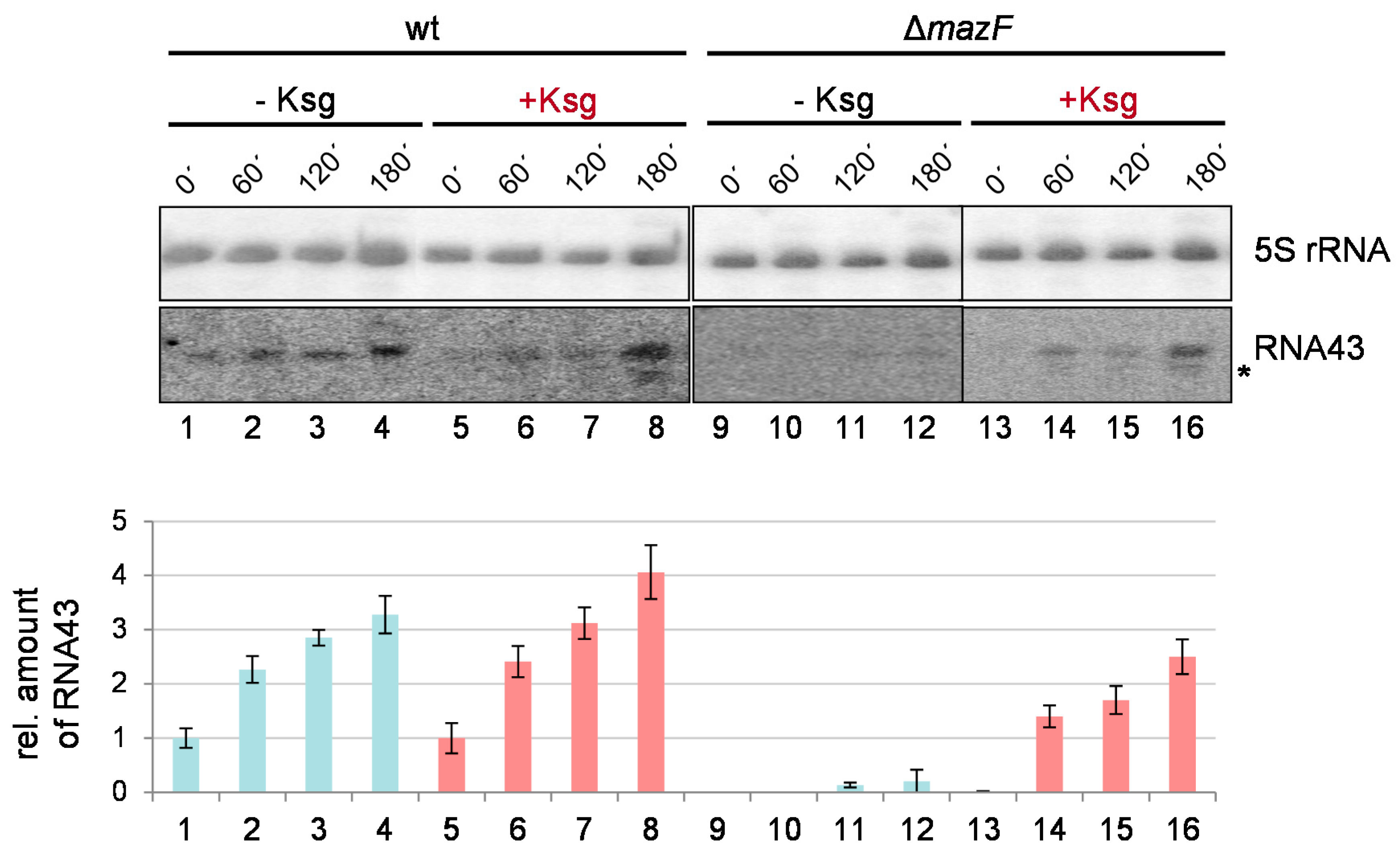 Antibiotics 05 00019 g005