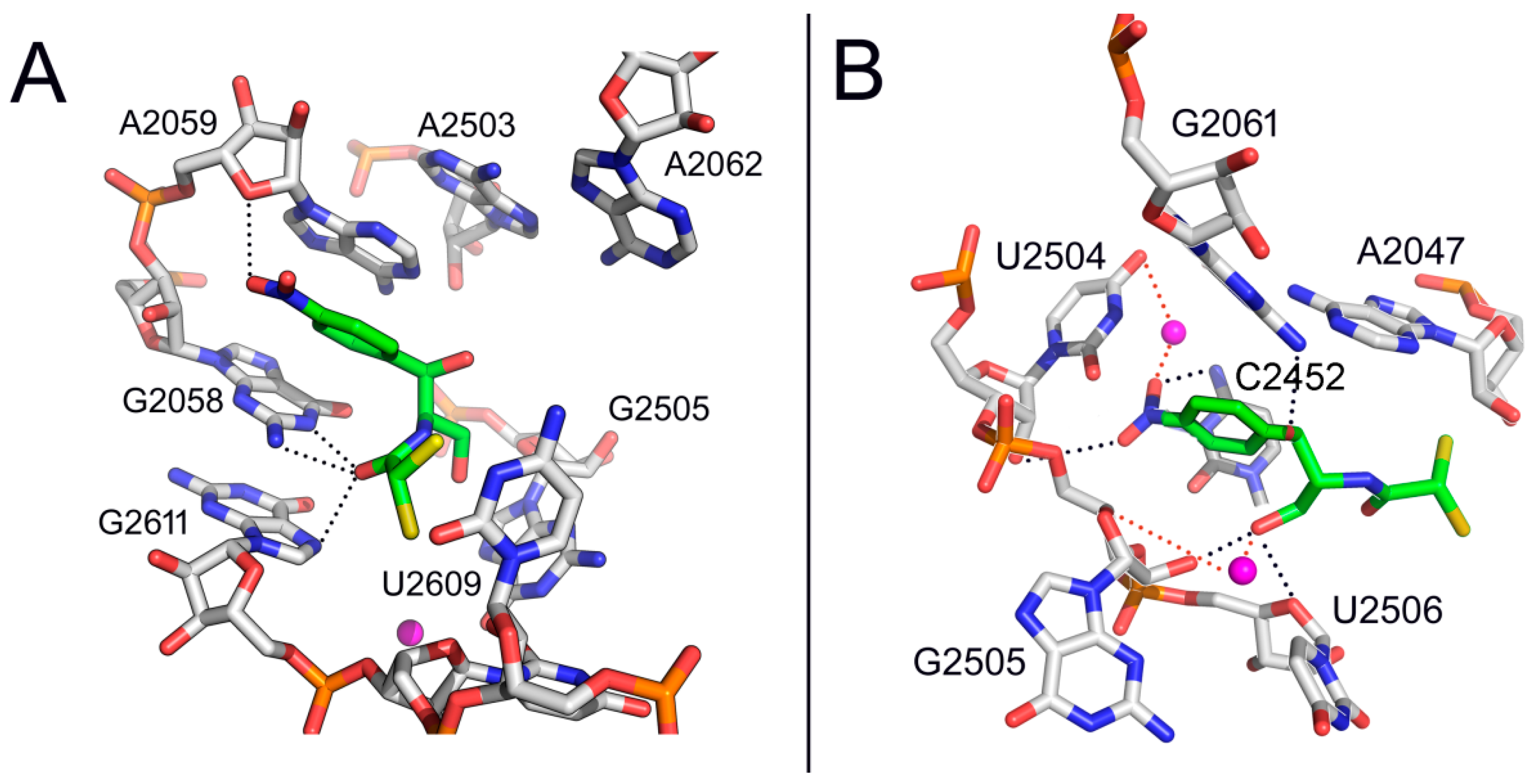 Antibiotics 05 00020 g002
