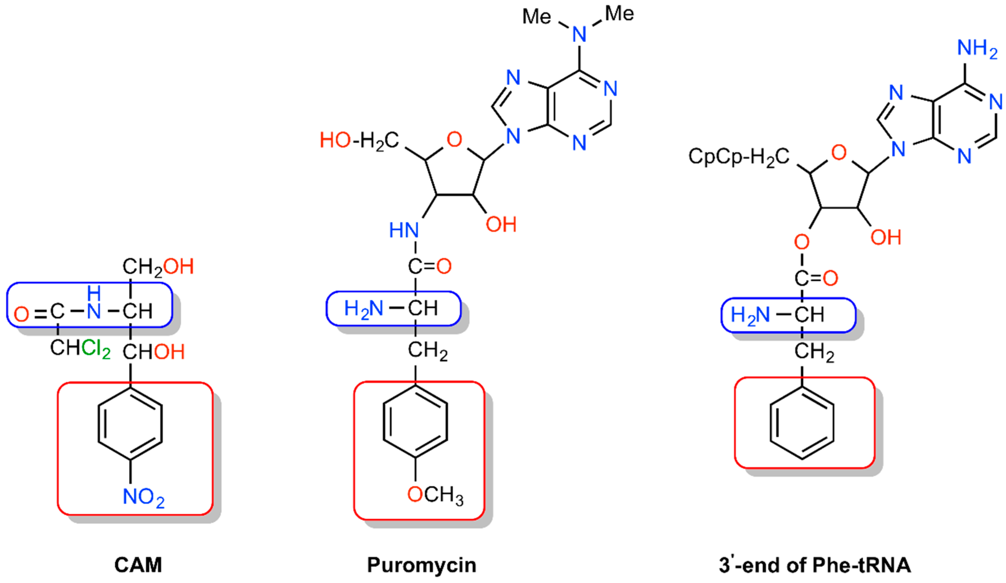 Antibiotics 05 00020 g003