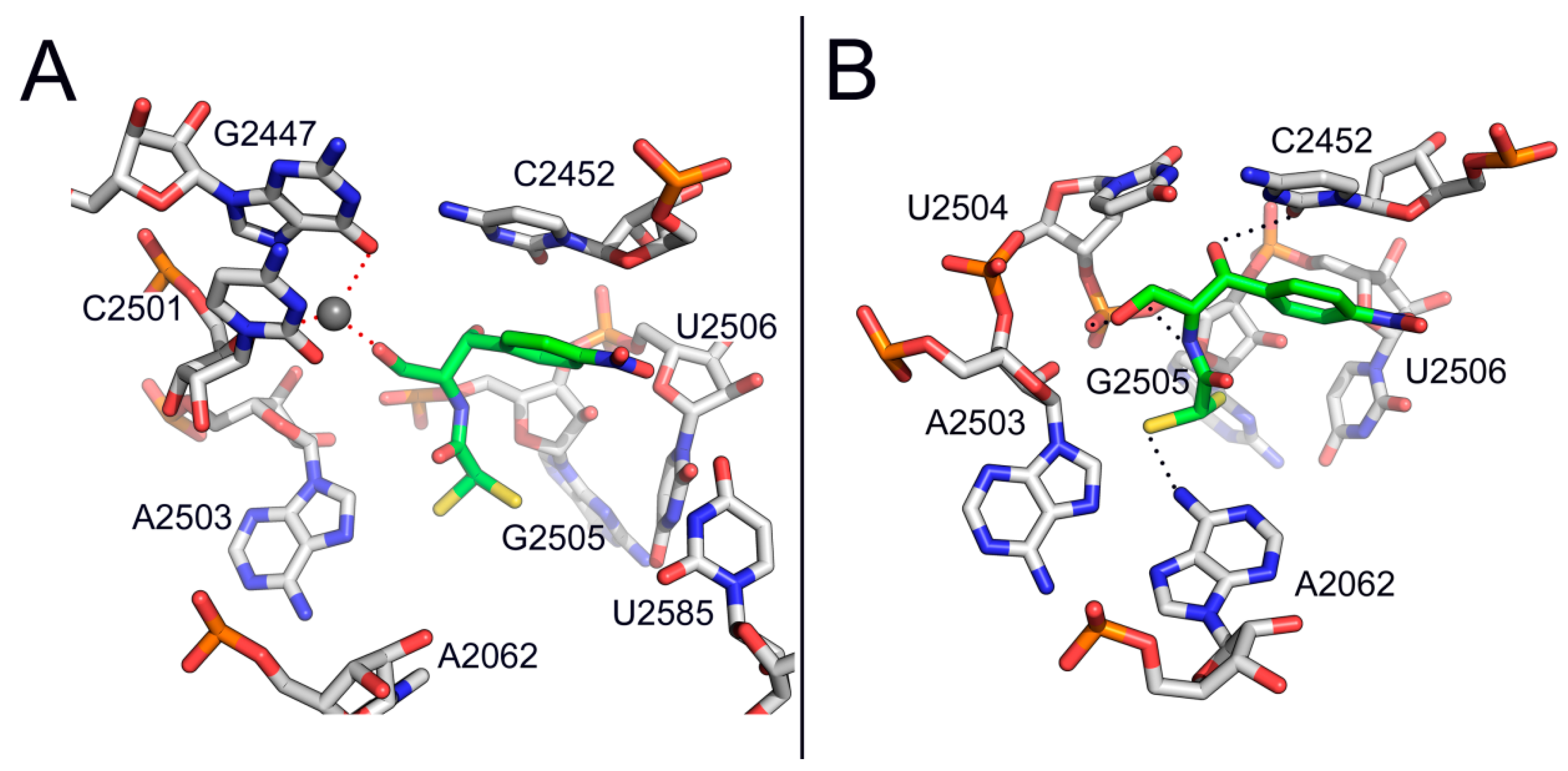 Antibiotics 05 00020 g004