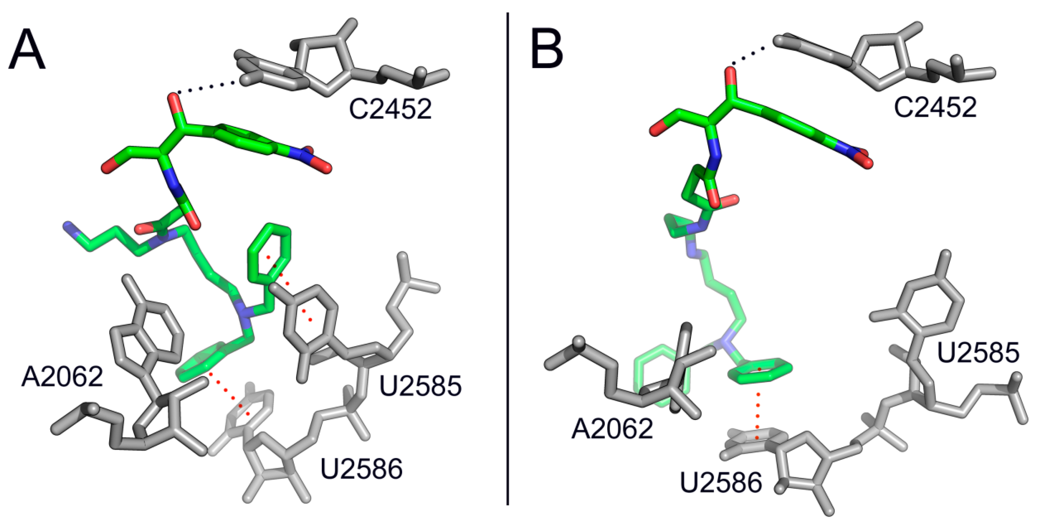 Antibiotics 05 00020 g010