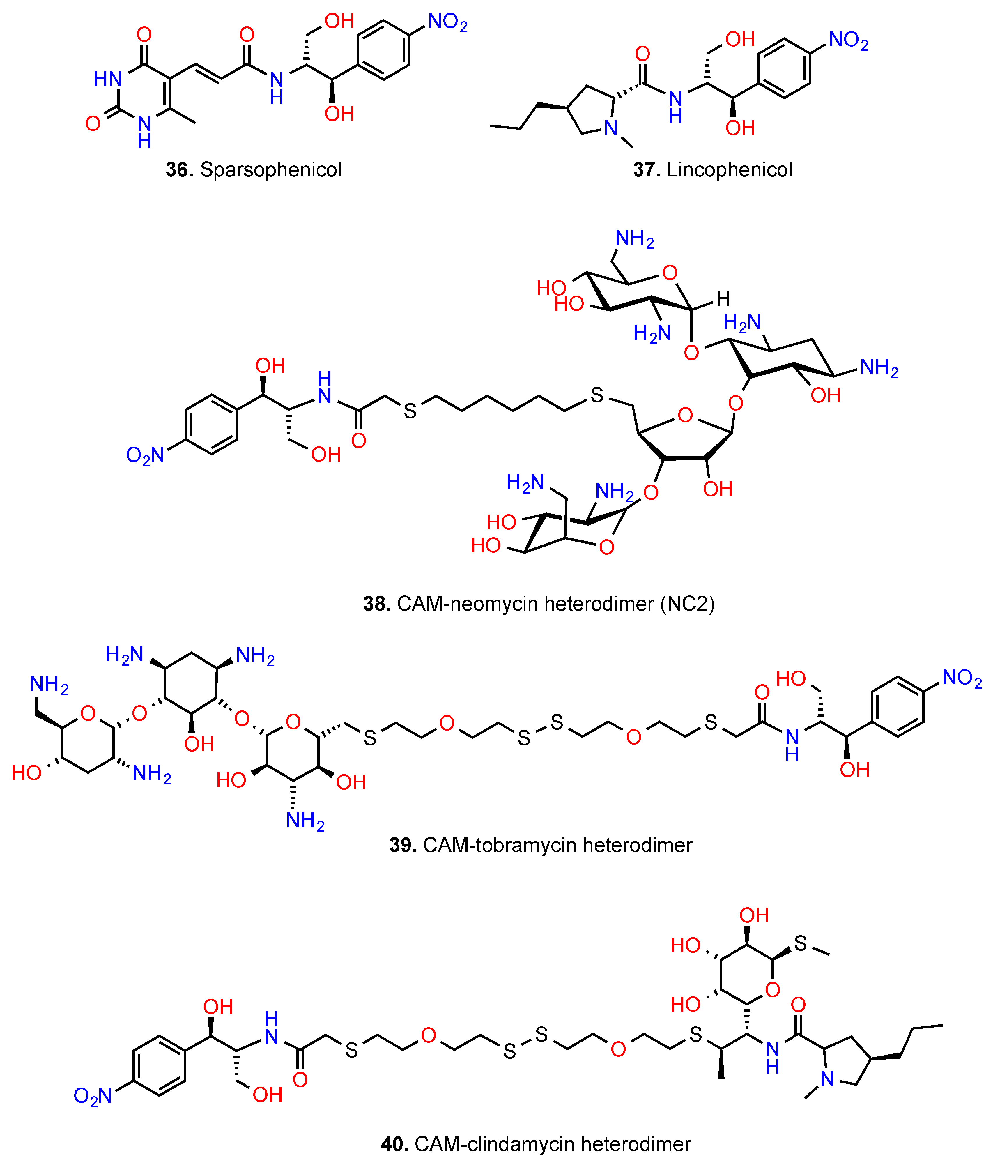 Antibiotics 05 00020 g011