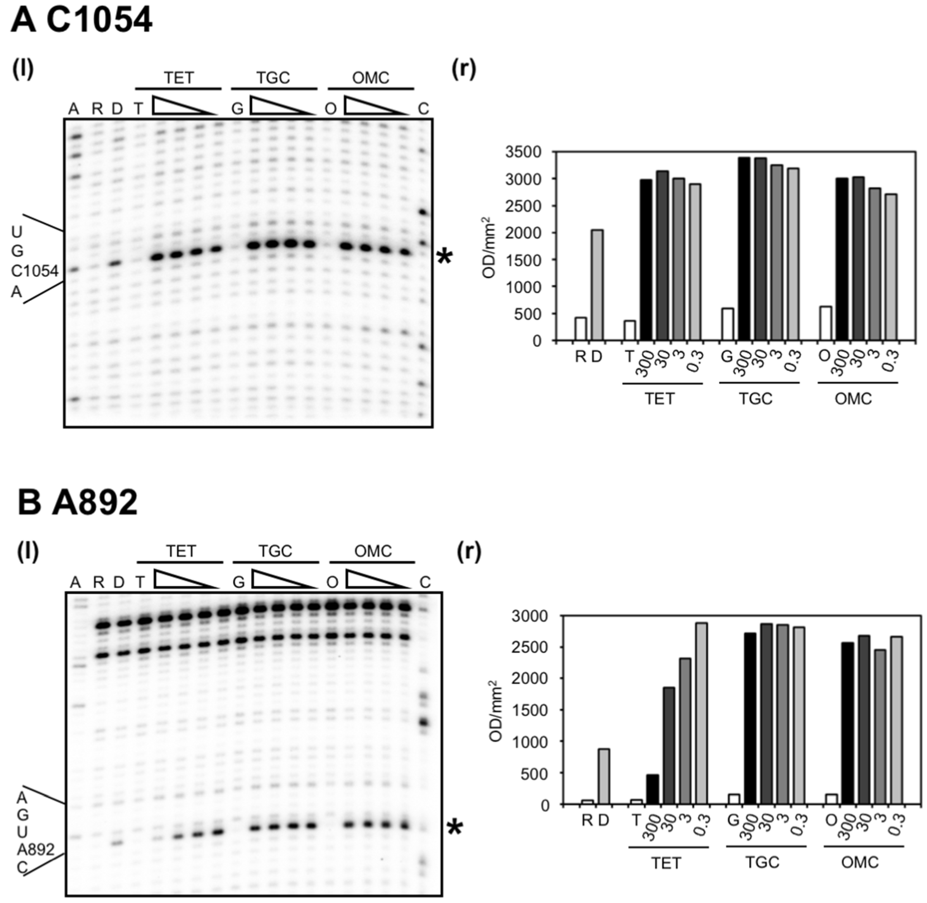 Antibiotics 05 00032 g002