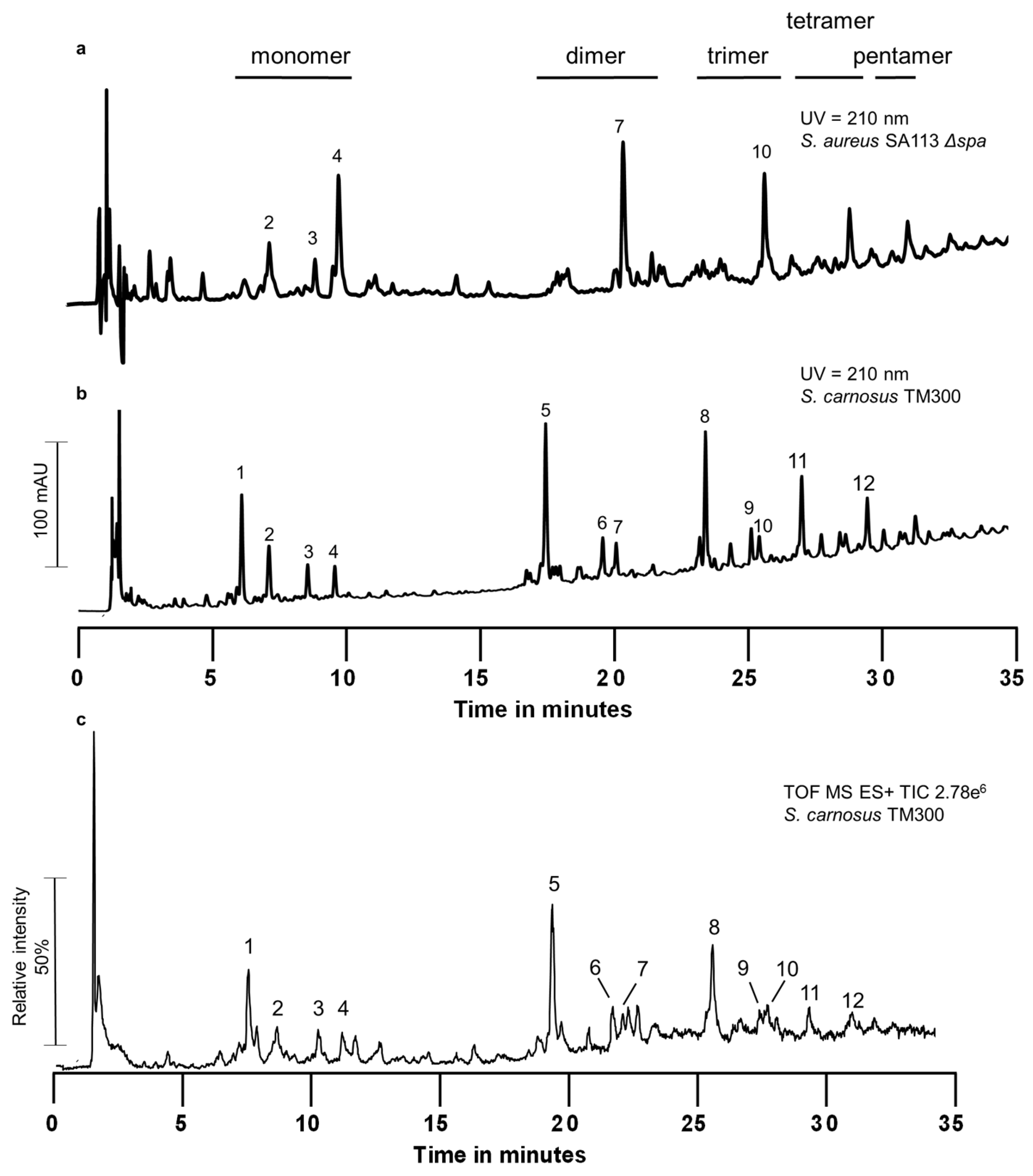Antibiotics 05 00033 g001