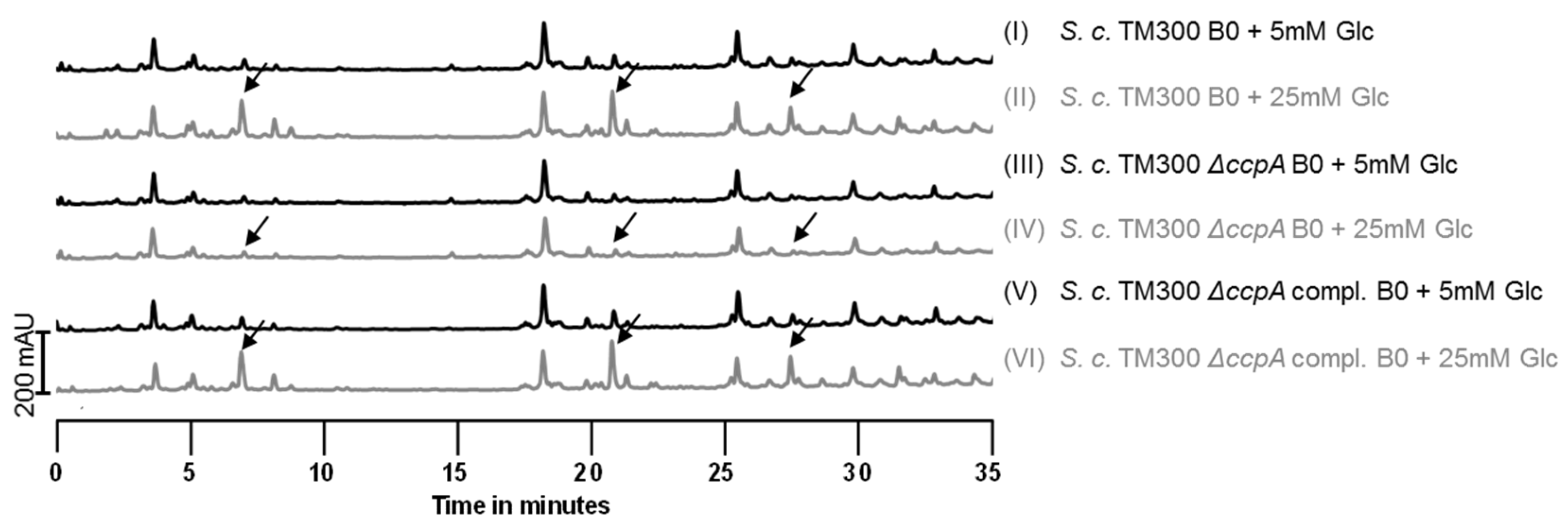 Antibiotics 05 00033 g005