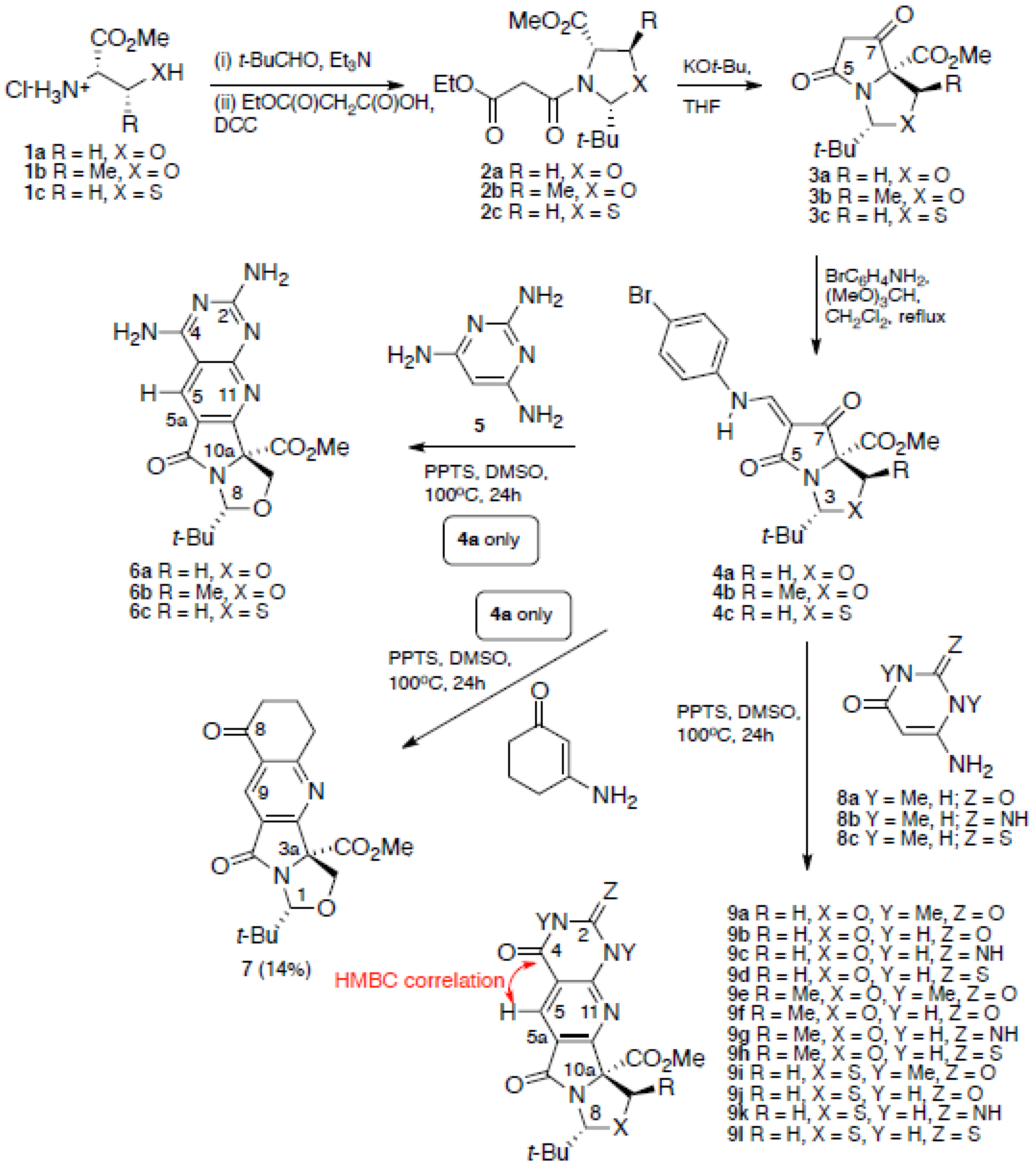 Antibiotics 06 00002 sch001