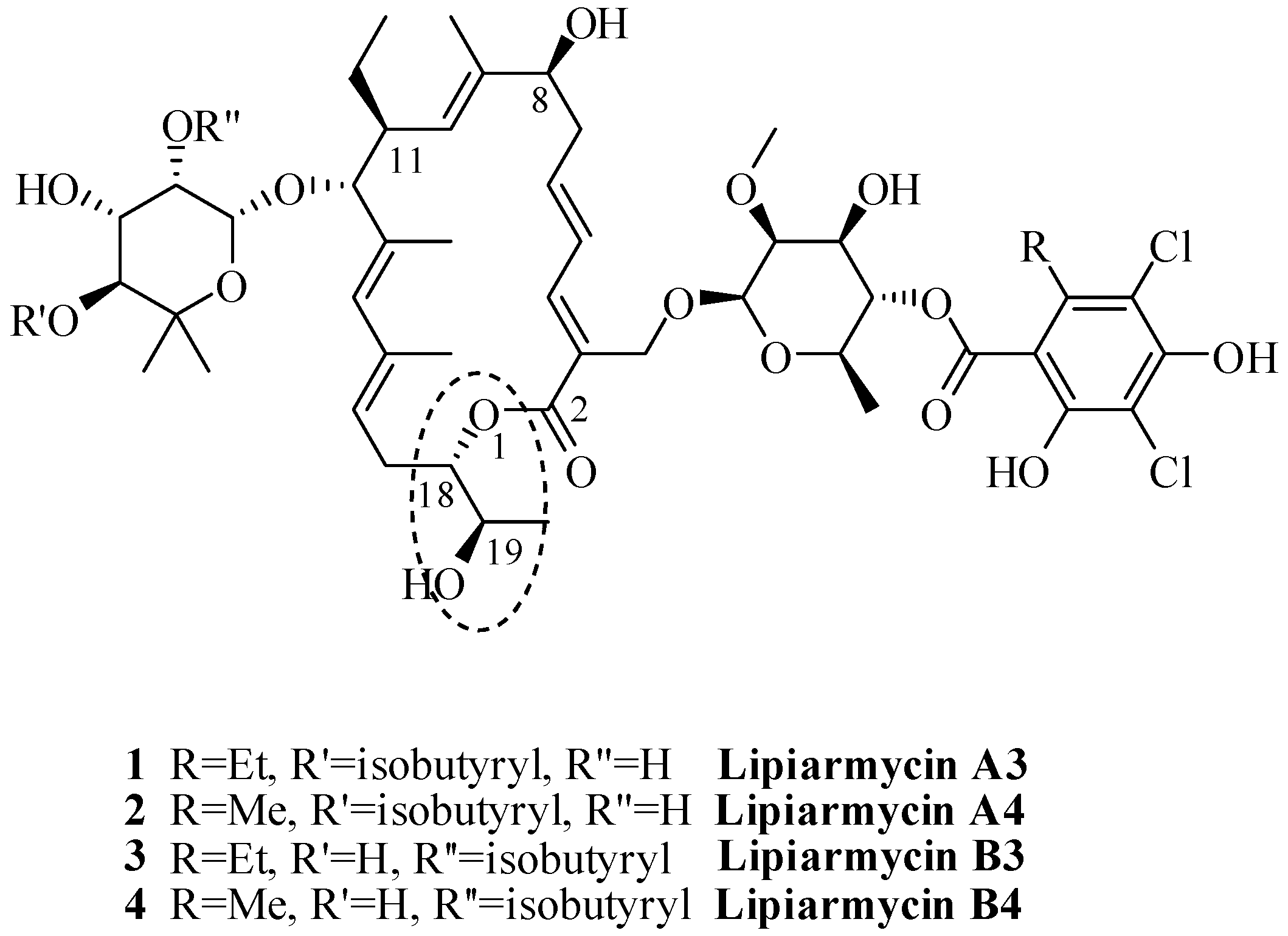 Antibiotics 06 00007 g001