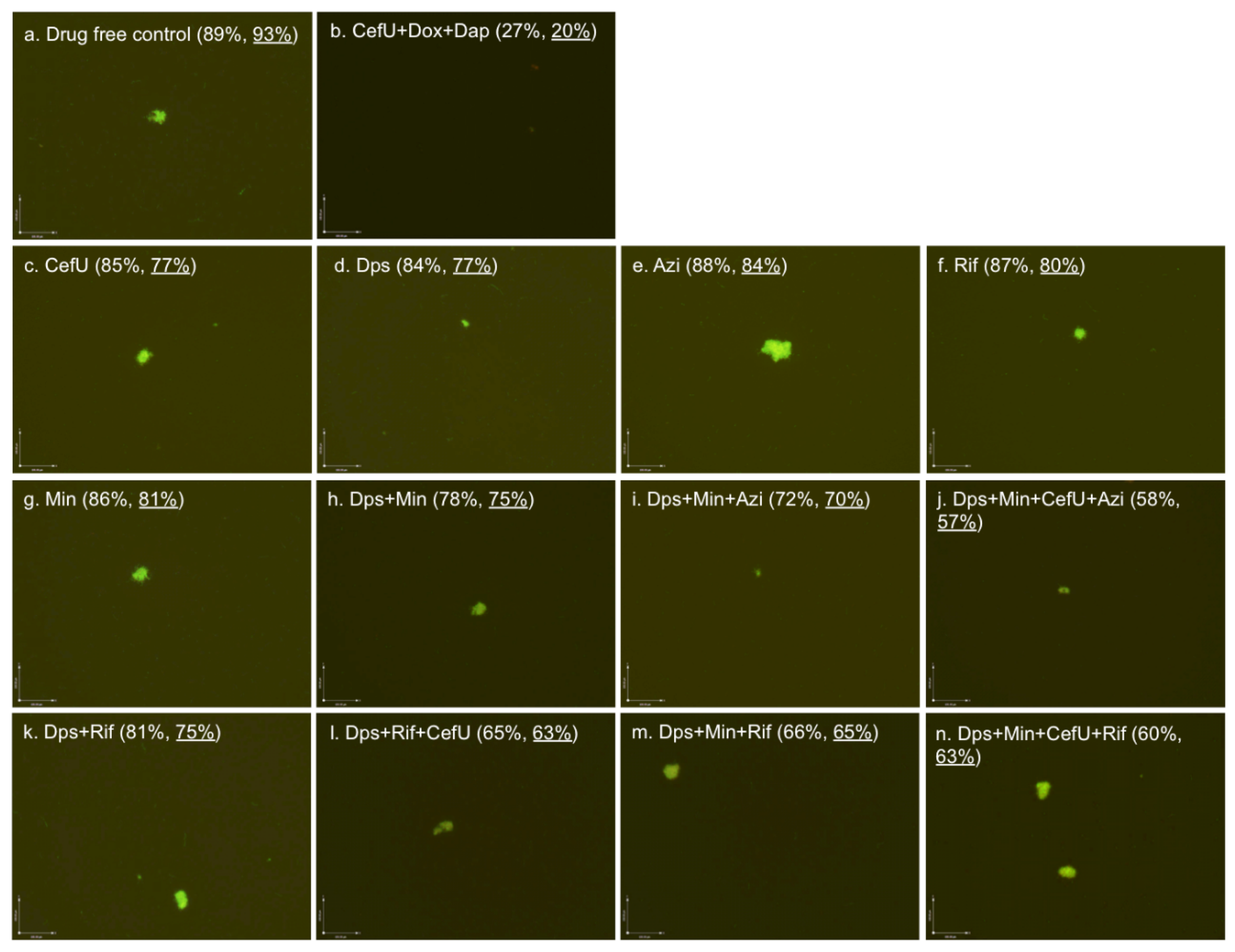 Antibiotics 06 00010 g002