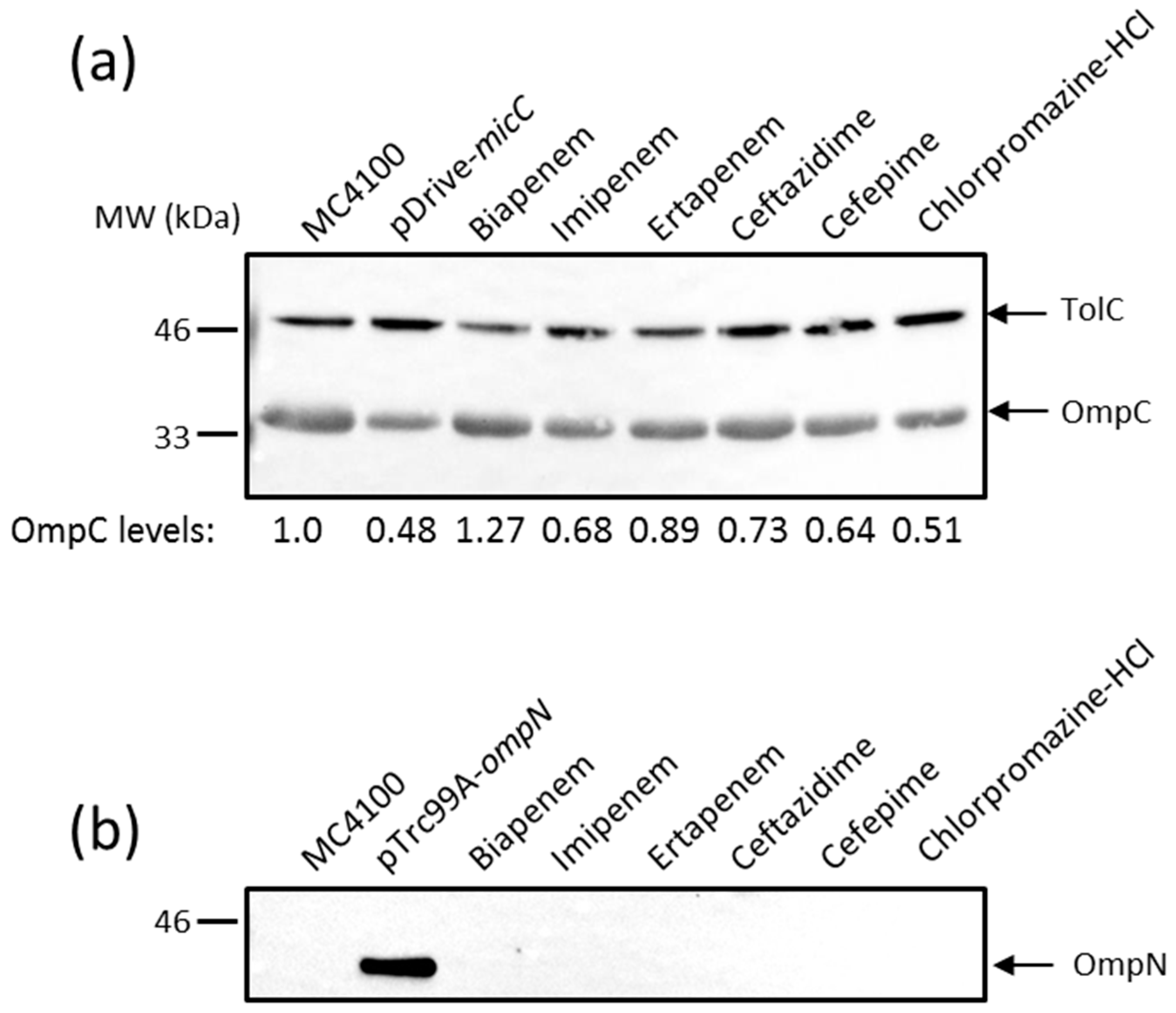 Antibiotics 06 00033 g002