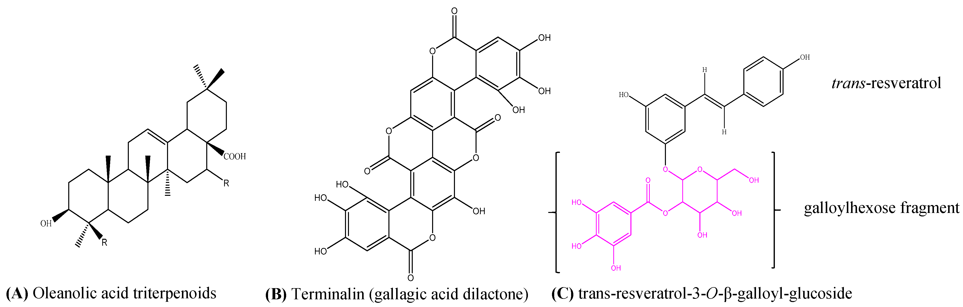 Antibiotics 06 00037 g004