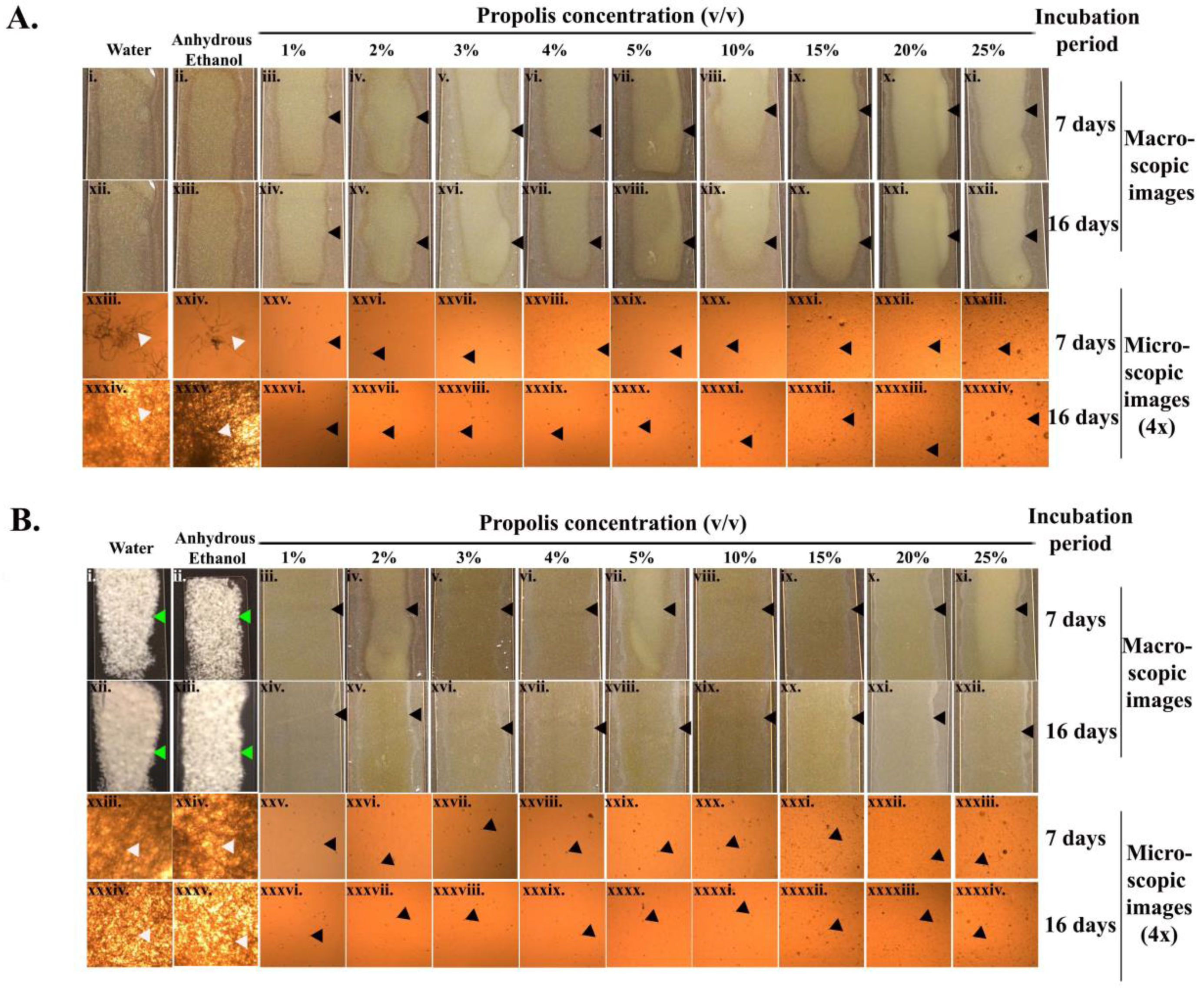 Antibiotics 07 00002 g002