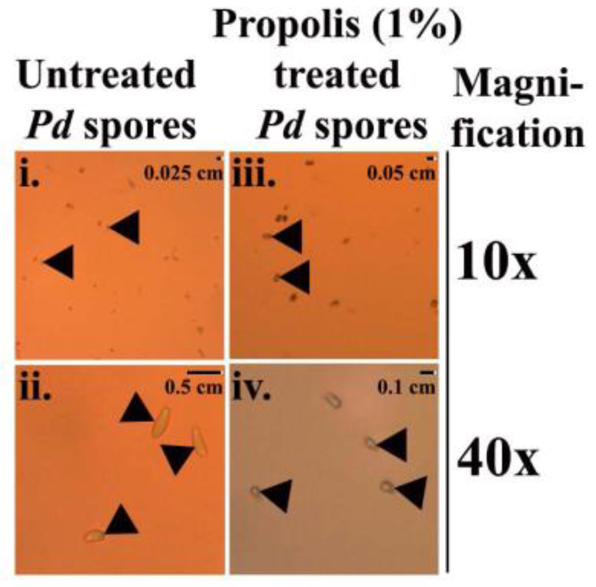 Antibiotics 07 00002 g003